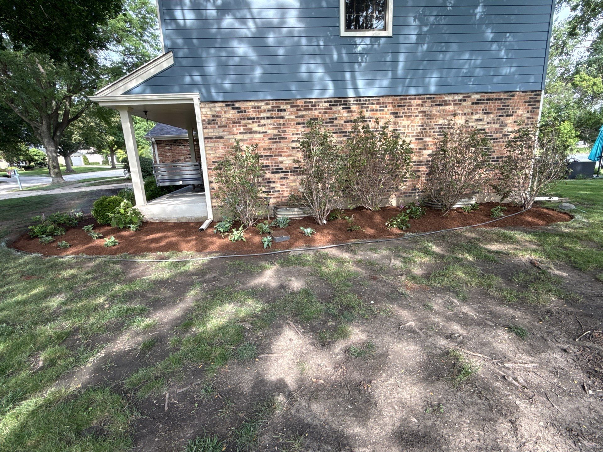 Alicia S. - Arlington Heights, IL by A&N