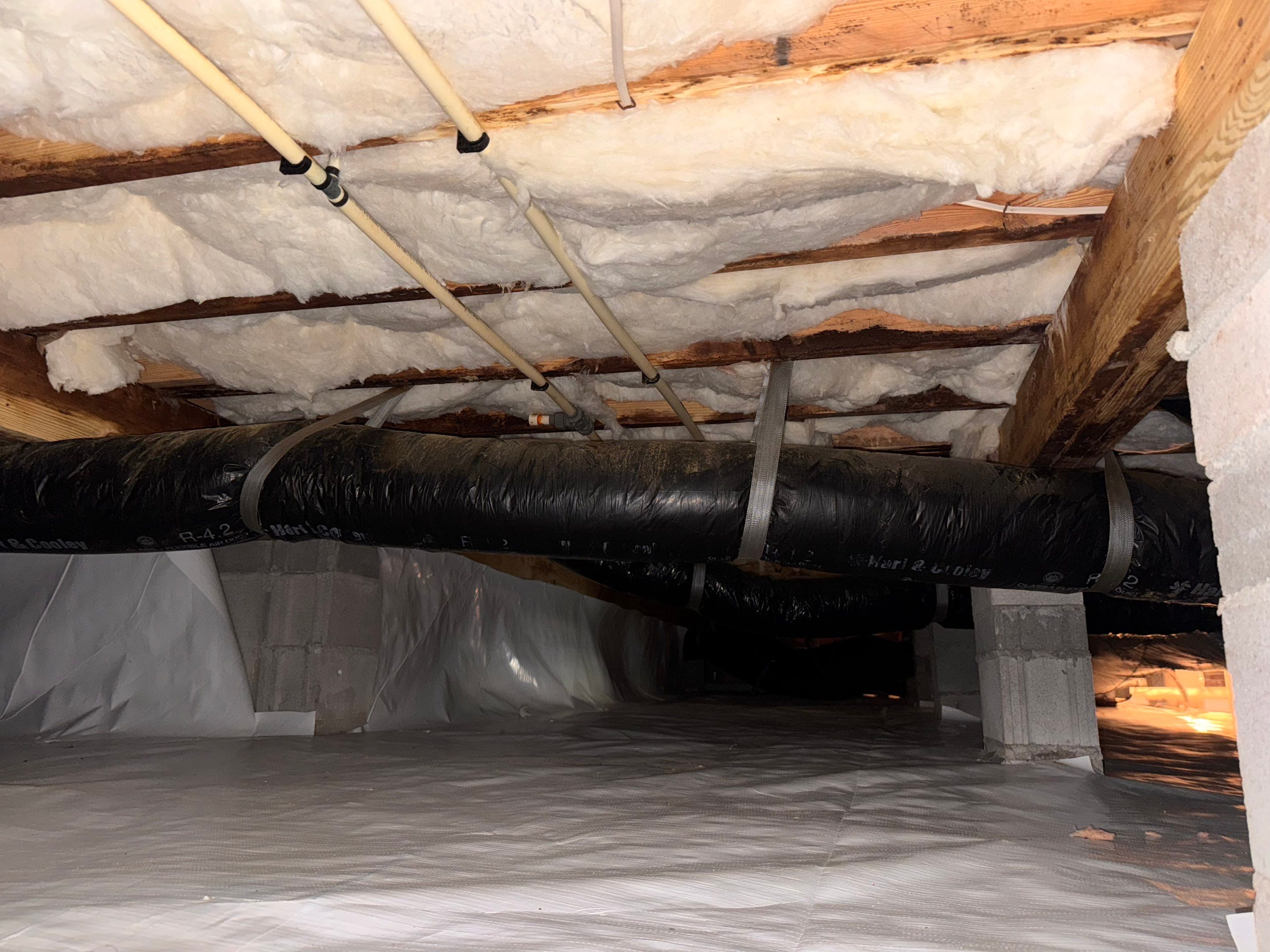 Moisture Barrier, Mold Clean, Structural Repair, Dehumidifier, R19 Insulation. by Impact Crawlspace
