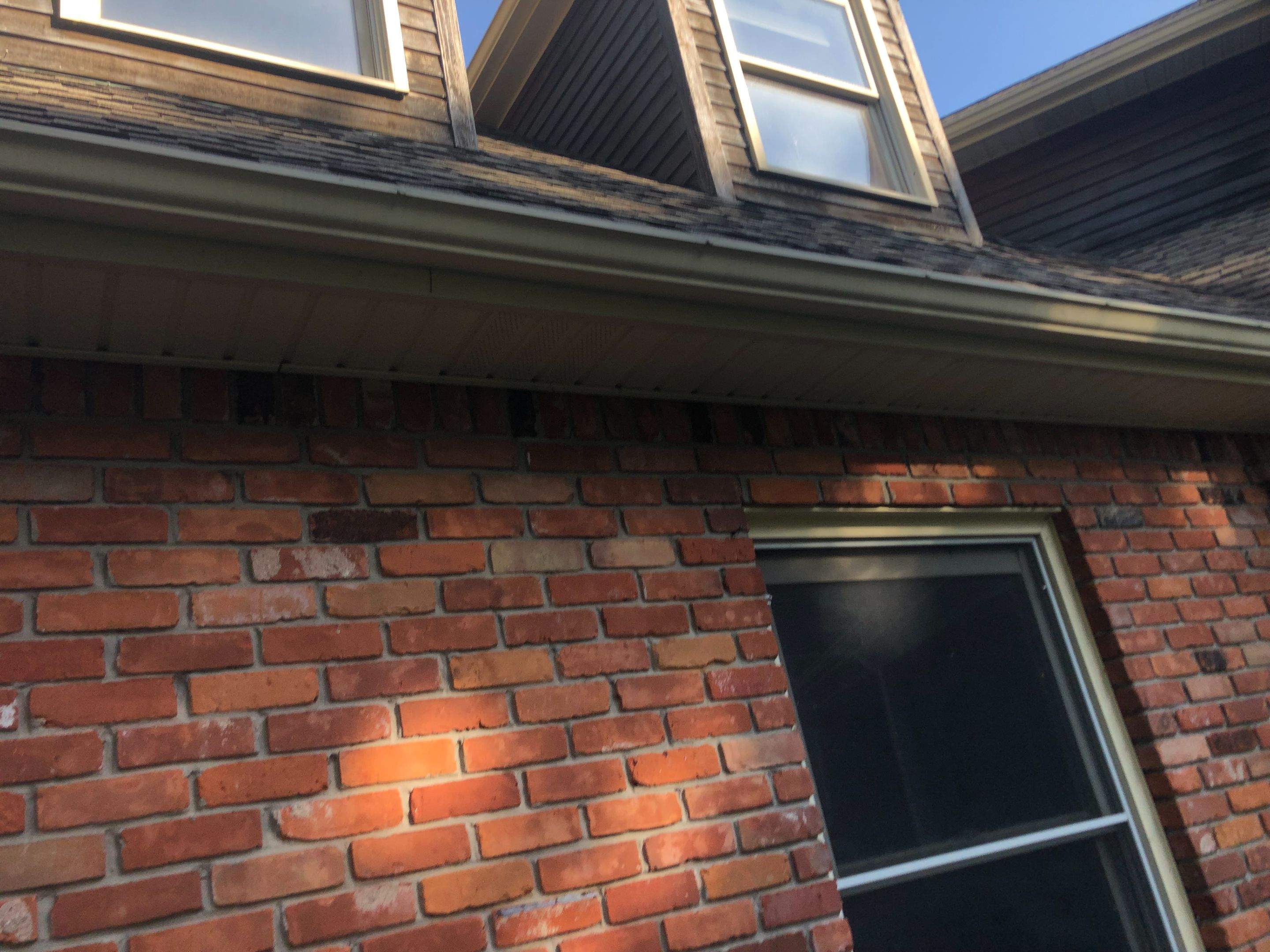 Window Replacement by Ivy Lea Construction