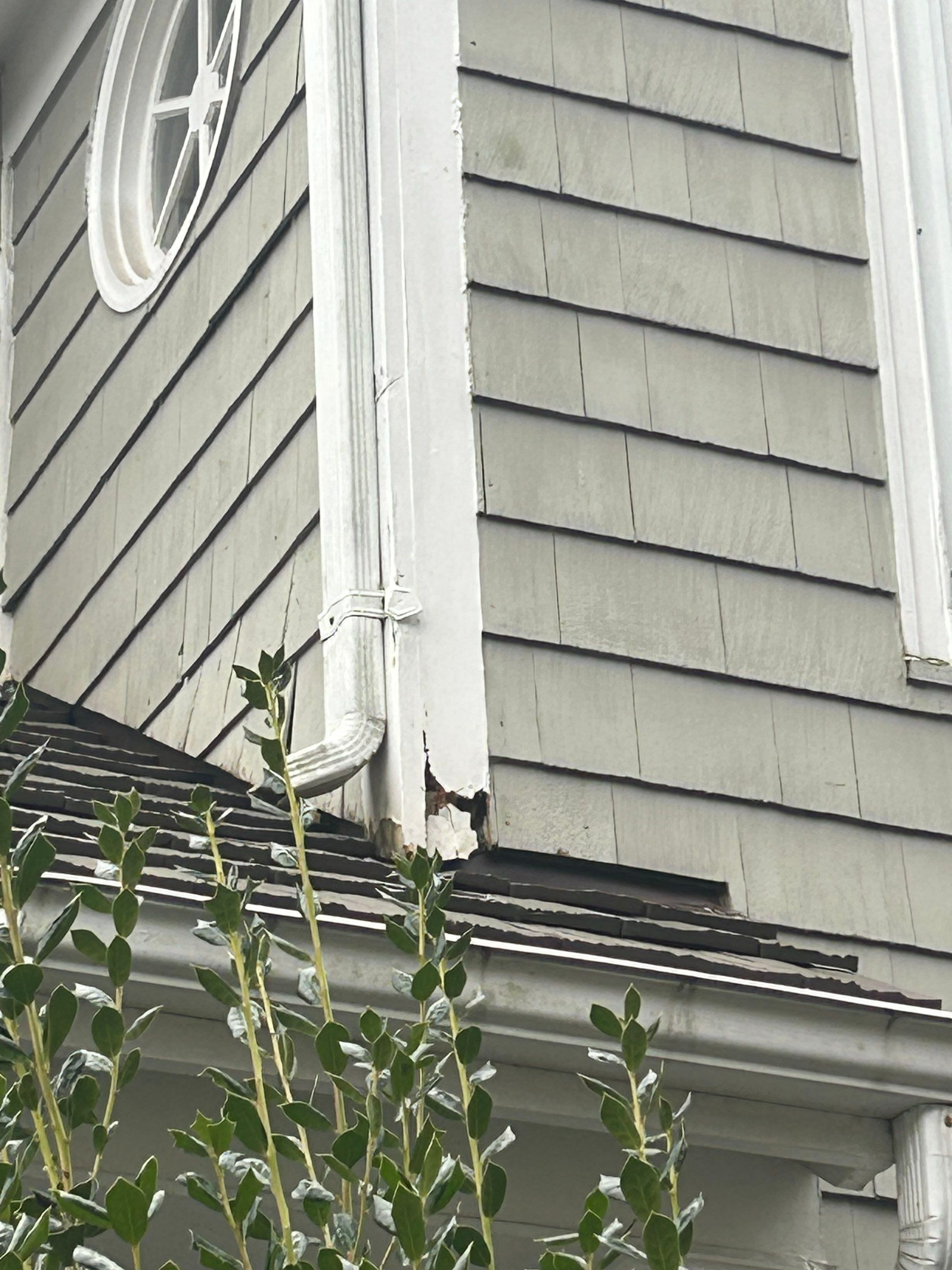 Reston :  Residential Roof Replacement with Brava Synthetic Cedar Shake Class C Natural  by RM Banning, Inc.