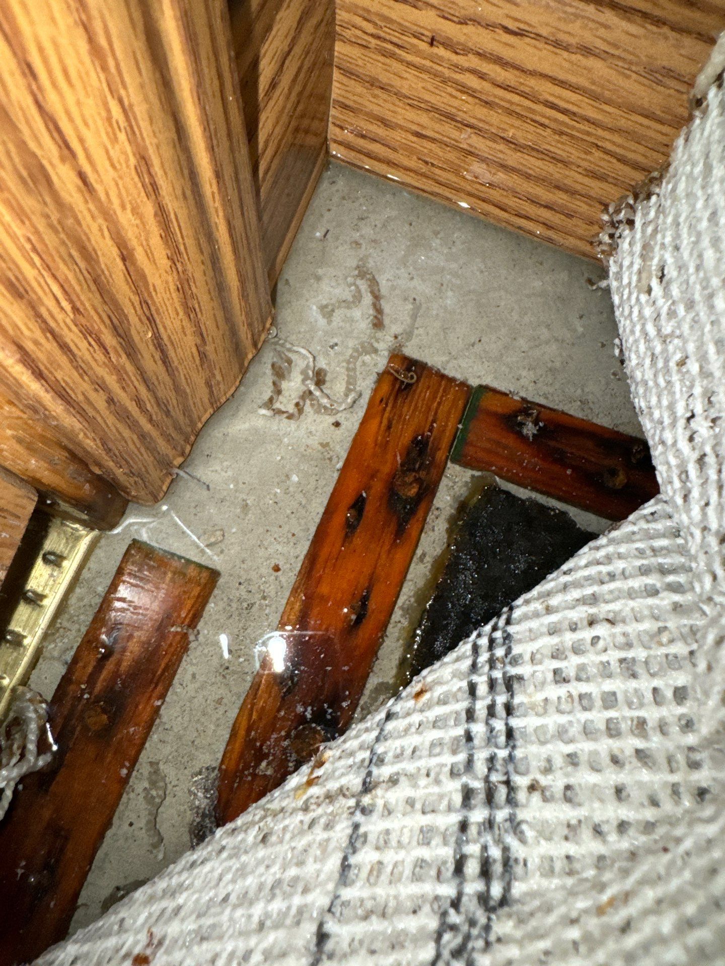 Sump Pump Fail by Chicagoland Water Medics