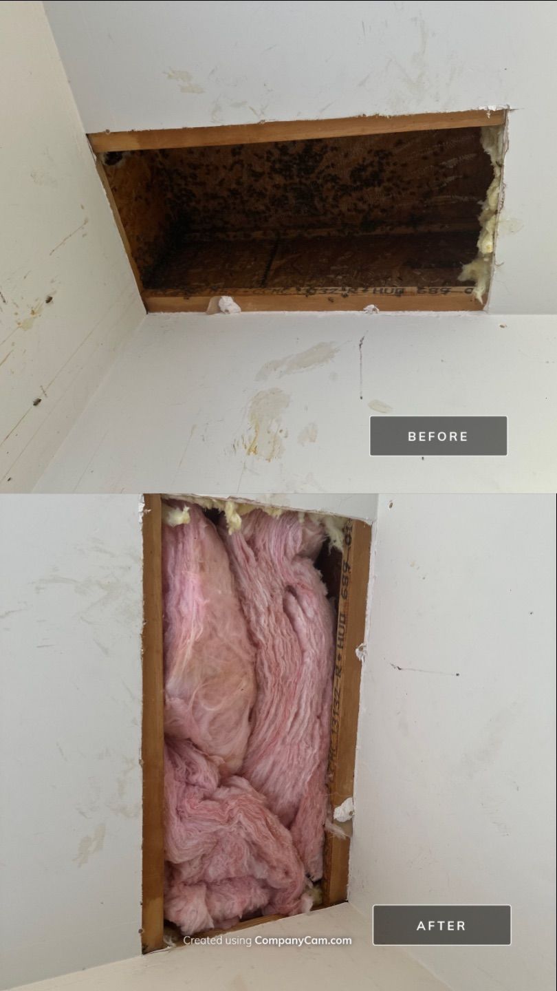 First Spring 2026 by Rockwall Honey Bee Company