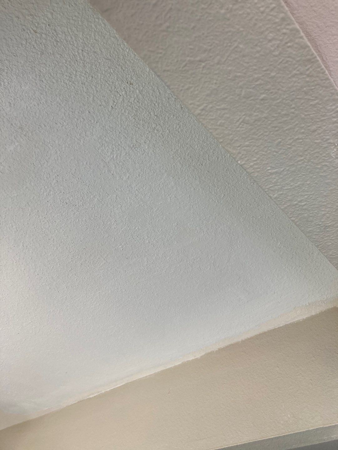 Large Ceiling Drywall Repair by Andre Handyman