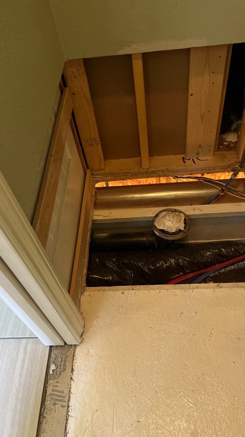 Mold Remediation by Accountable Home Services