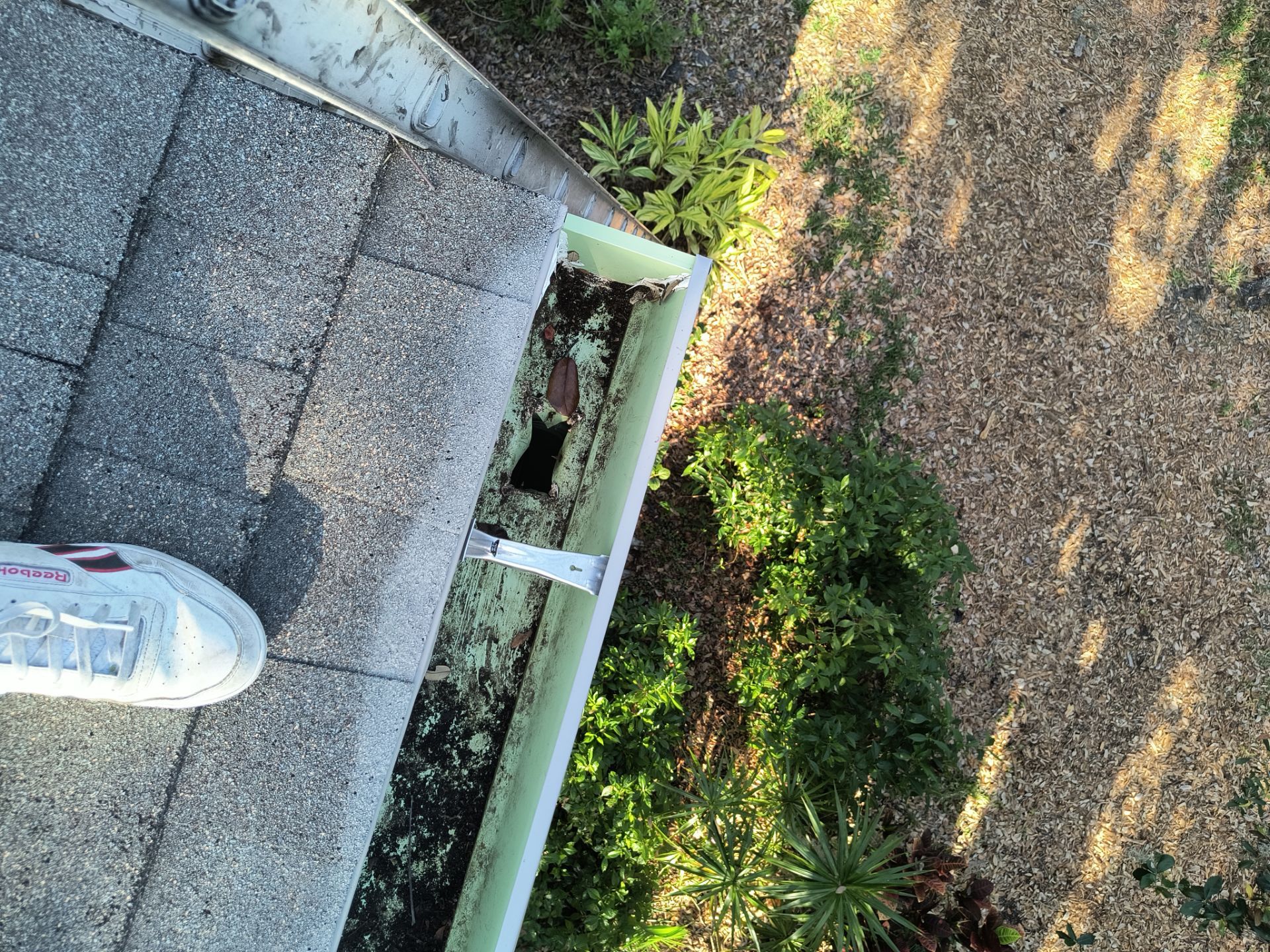Professional Gutter cleaning Aluminum Seamless Gutters  in Sarasota FL by Gutter Professors