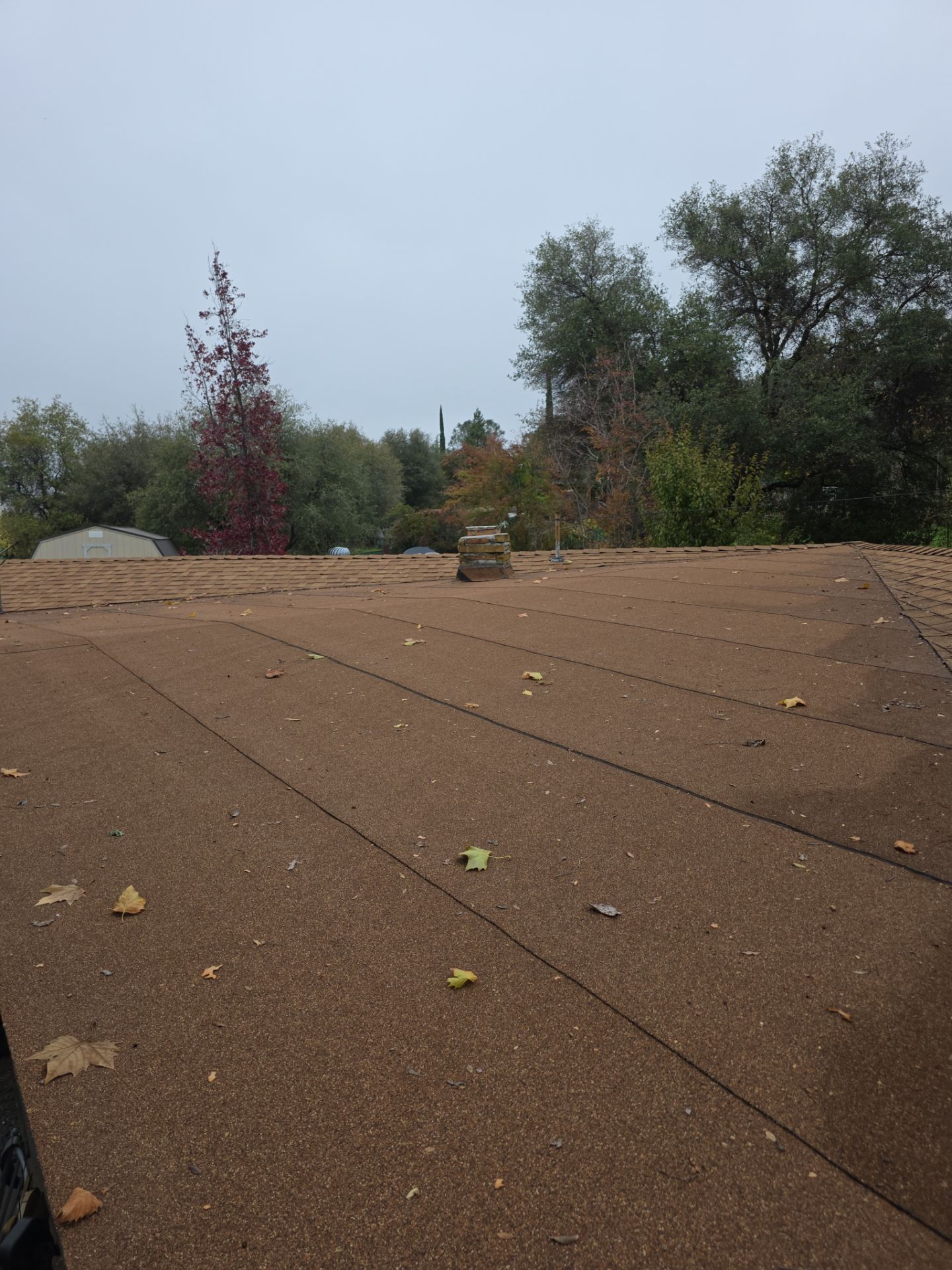 Roof Rejuvenation using Roof Maxx Treatment by Roof Maxx of Folsom