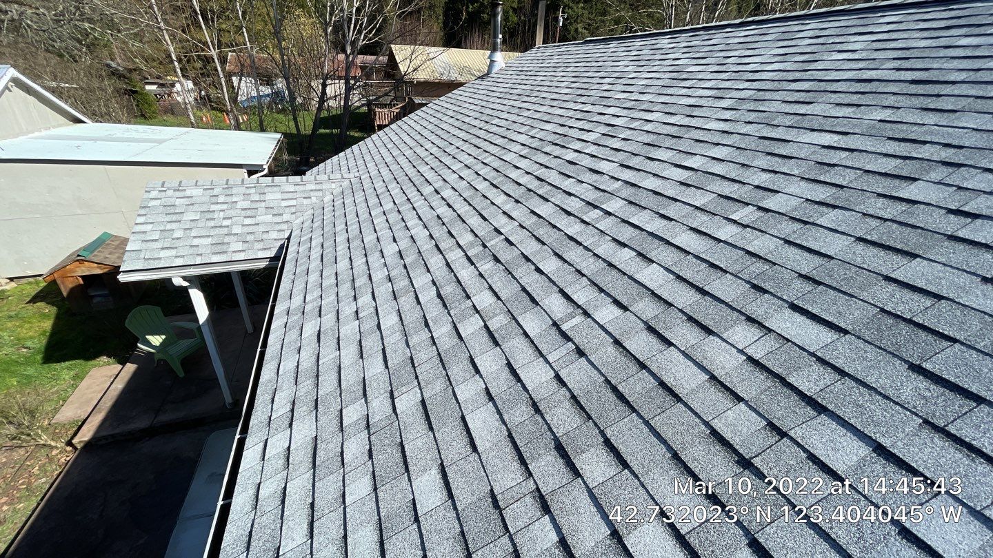 Silver Birch Shingles by Reimagine Roofing