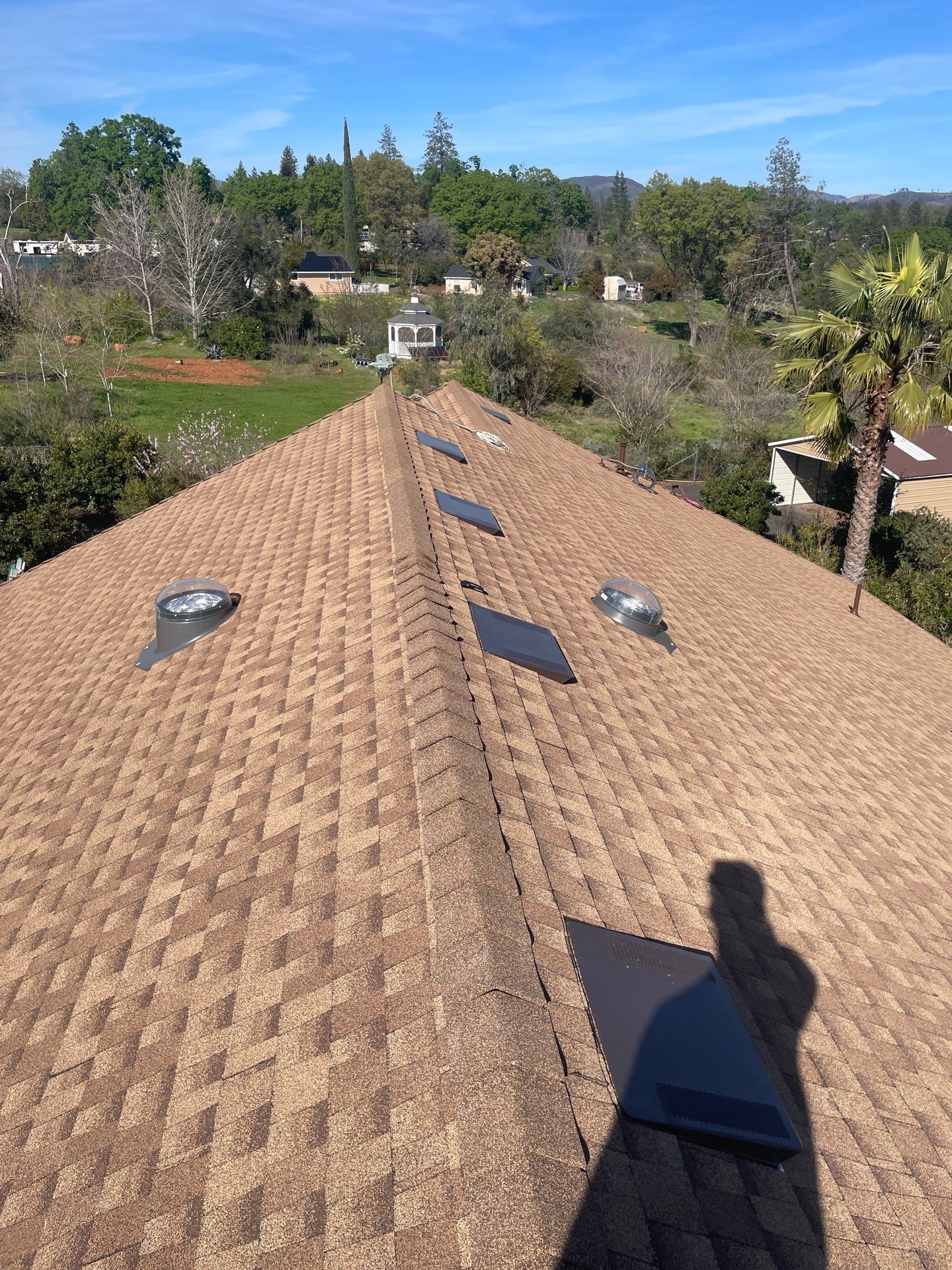 Paradise Shingle by Butte Roofing Company License #567600