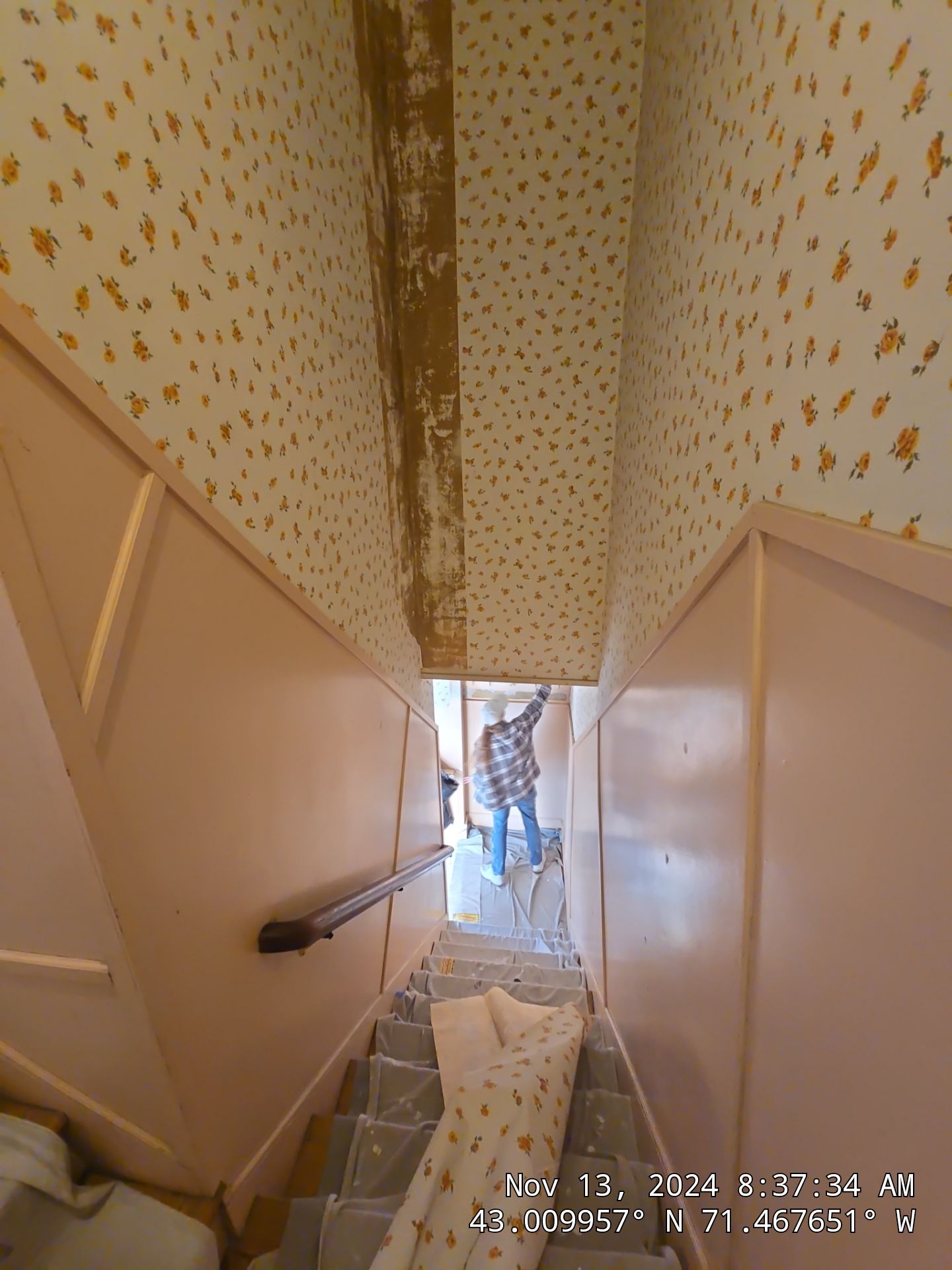 Refreshing an old back hallway for a favorite regular in Manchester's North End by The Persnickety Painters