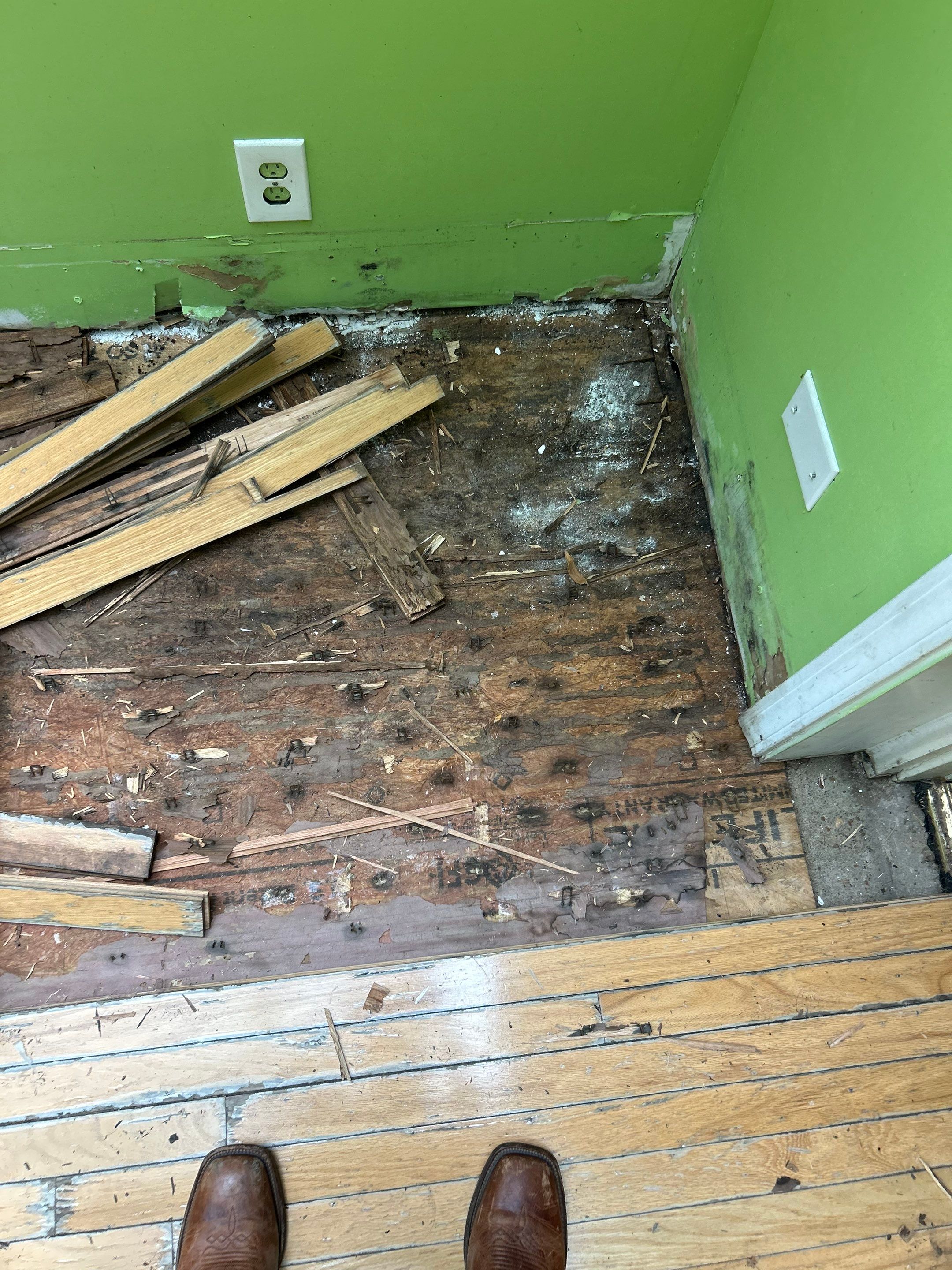 Water-damaged hardwood by Footprints Floors of Nashville