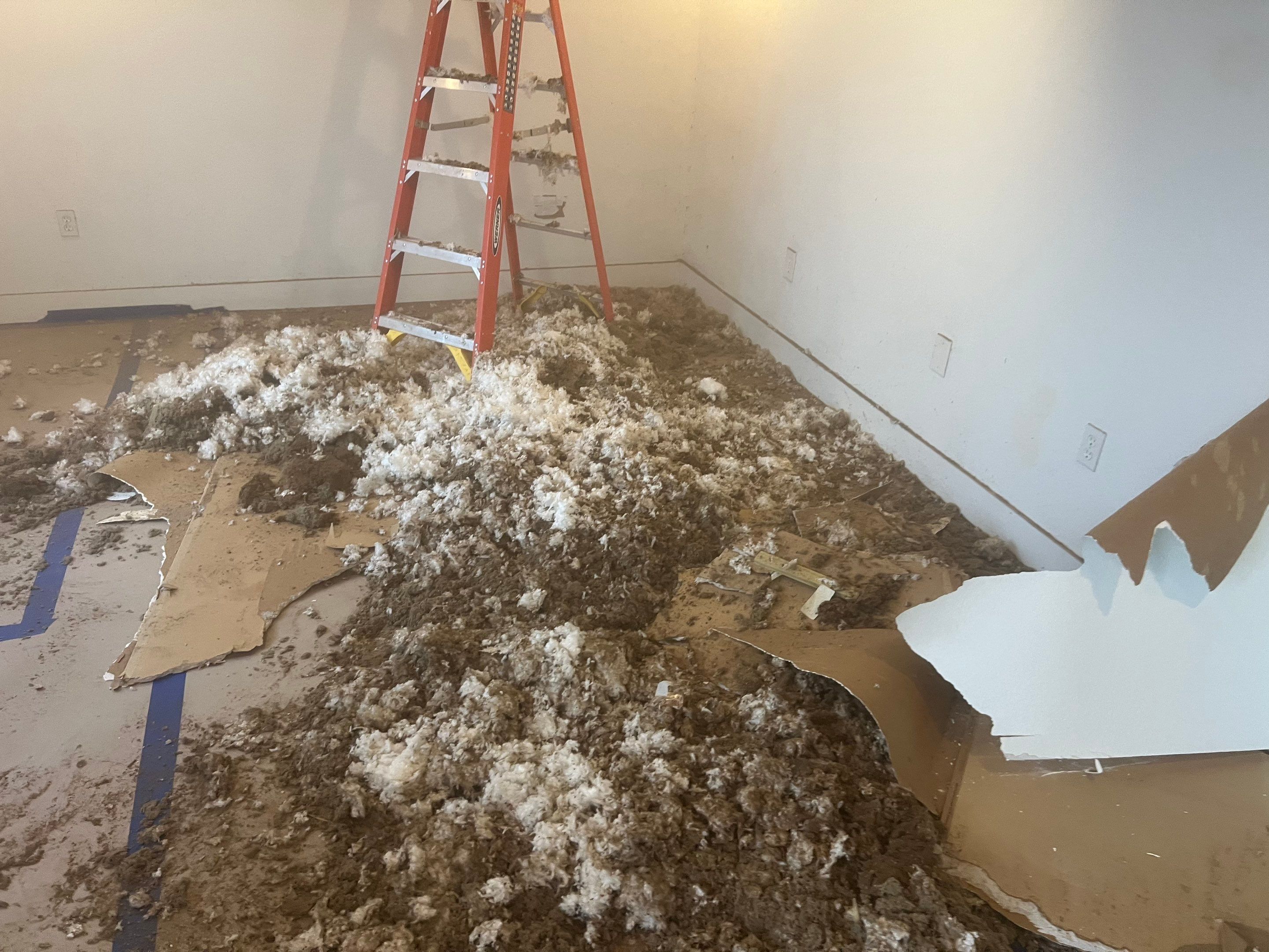 Windstorm Damage & Multi-Room Water Mitigation in St. Petersburg by Right On Time Restoration