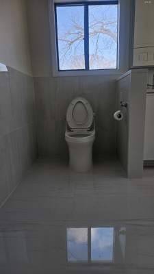 Project by green apple painting of ny