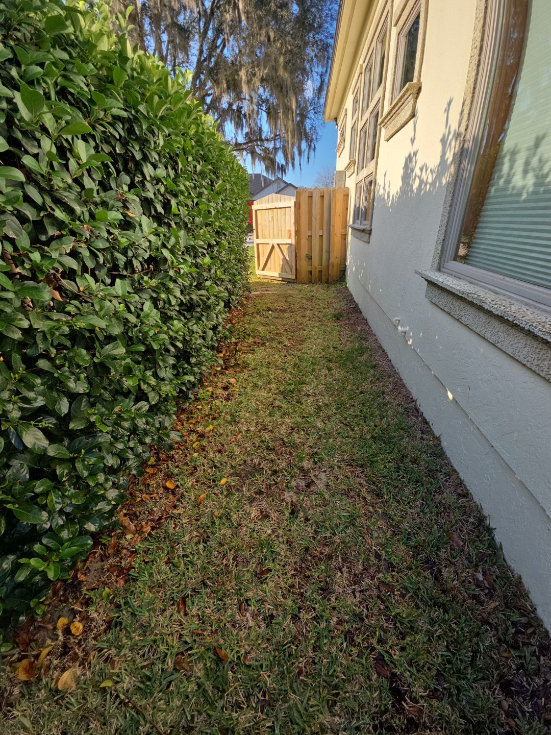 Deerwood Resident | Freshen Up Project by ProGreen Services