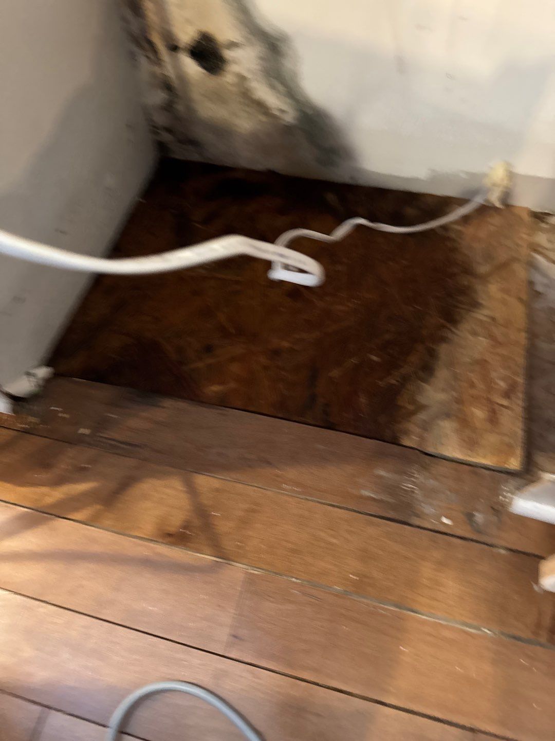 Project in West Bloomfield Township by EzDry Water Mitigation & Property Restoration