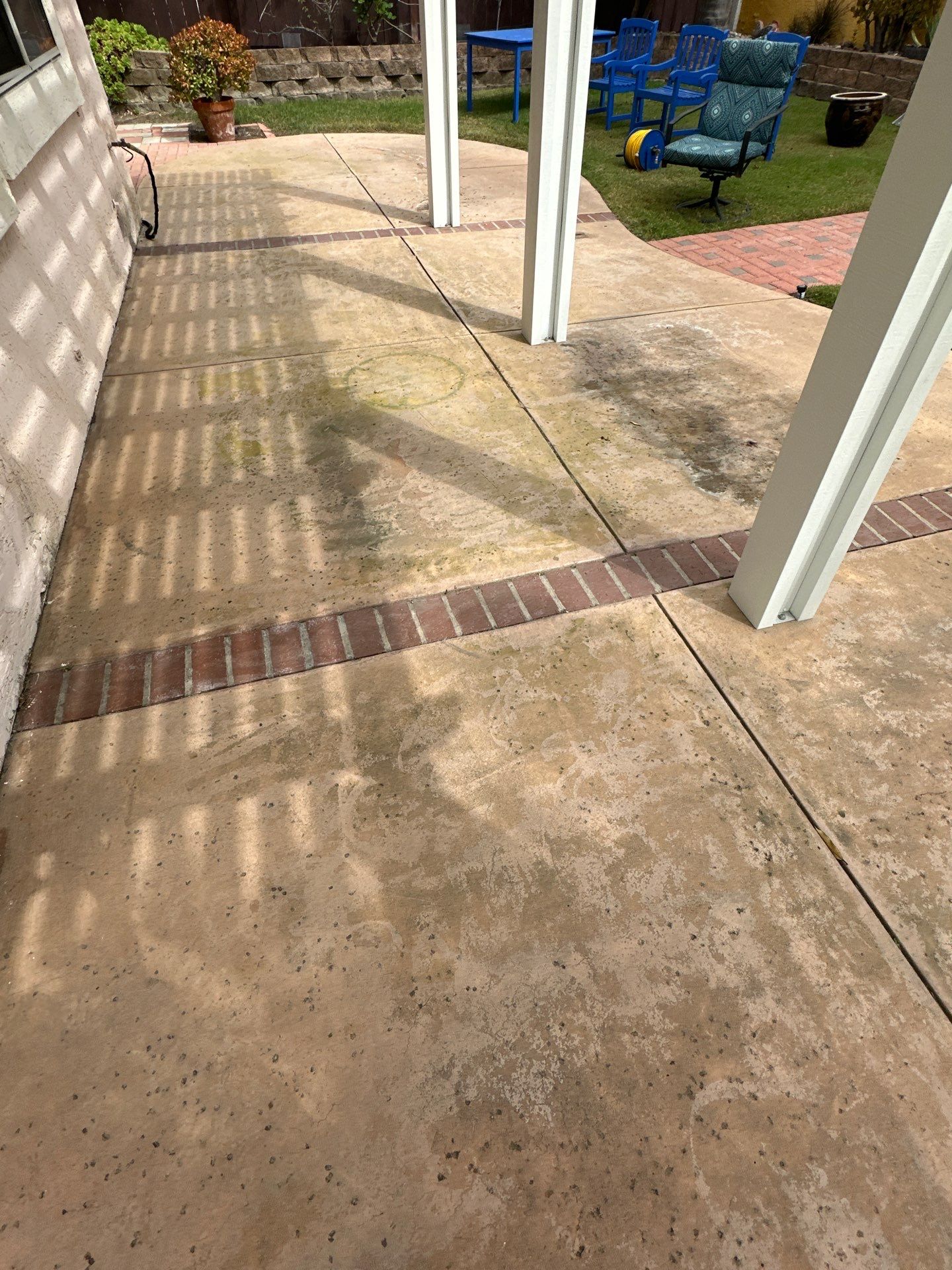 House Washing, Concrete Cleaning, and Window Washing with a Side of Gutters by Property Cleaning Experts