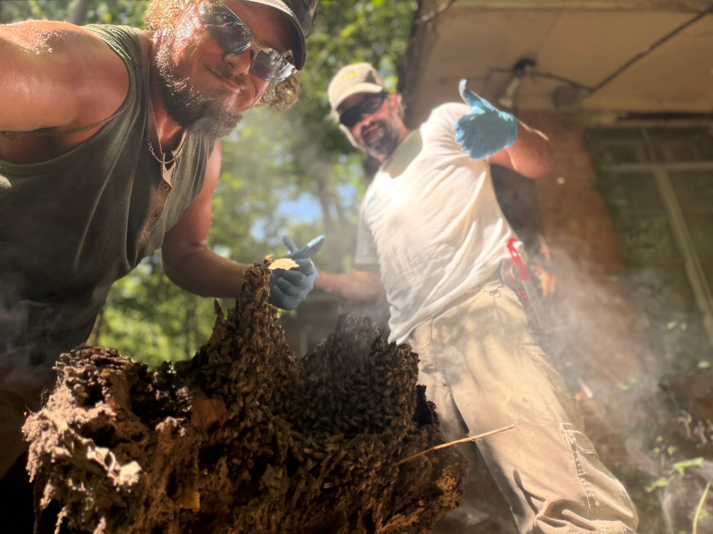 Warranted Removal by Rockwall Honey Bee Company