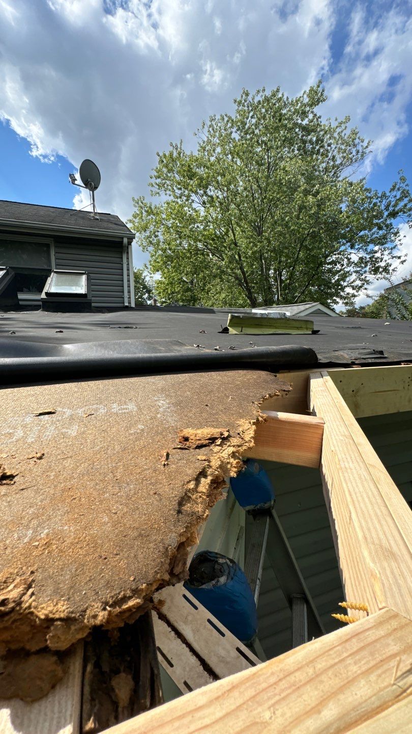 Alexandria: Residential Flat Roof Replacement with MuleHide TPO by RM Banning, Inc.