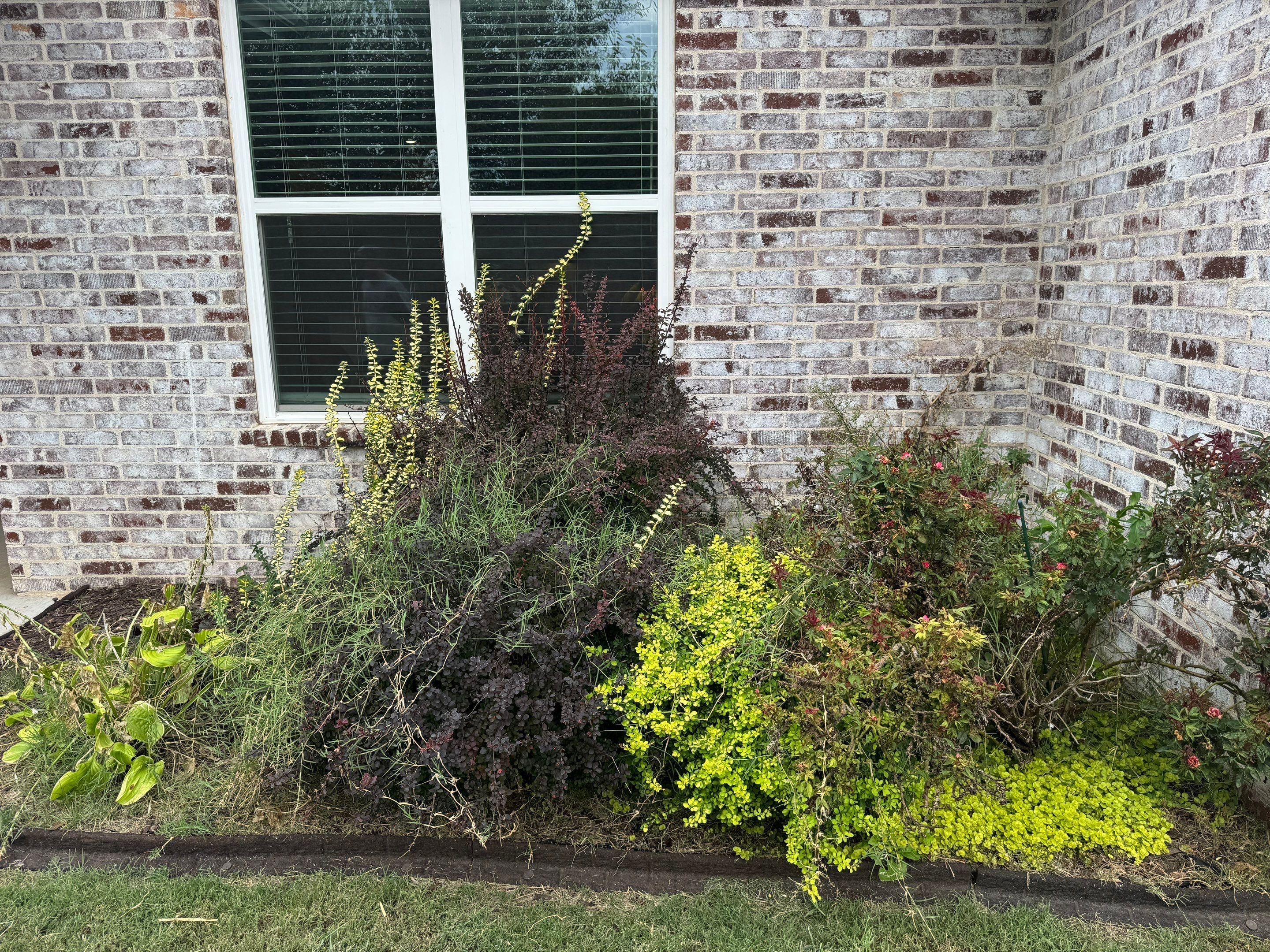 Bed Cleanout by GGNWA