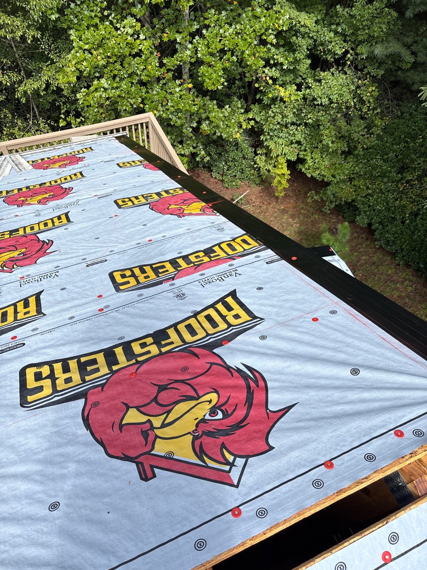 New Asphalt Architectural Shingle Roof and Gutter Guards in Salem by Roofsters