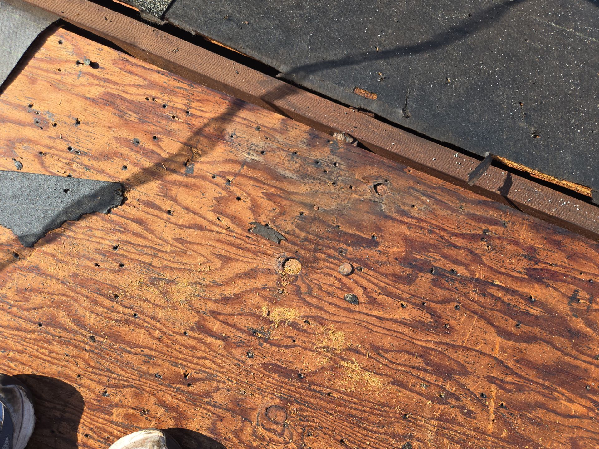 Project in St. Petersburg 33702 by Mitchell Roofing Company LLC 