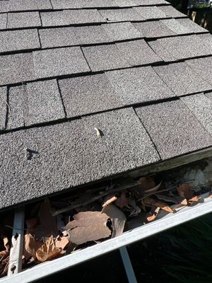 Turtle Shell gutter protection installation in Naperville, IL 60565, photograph 3
