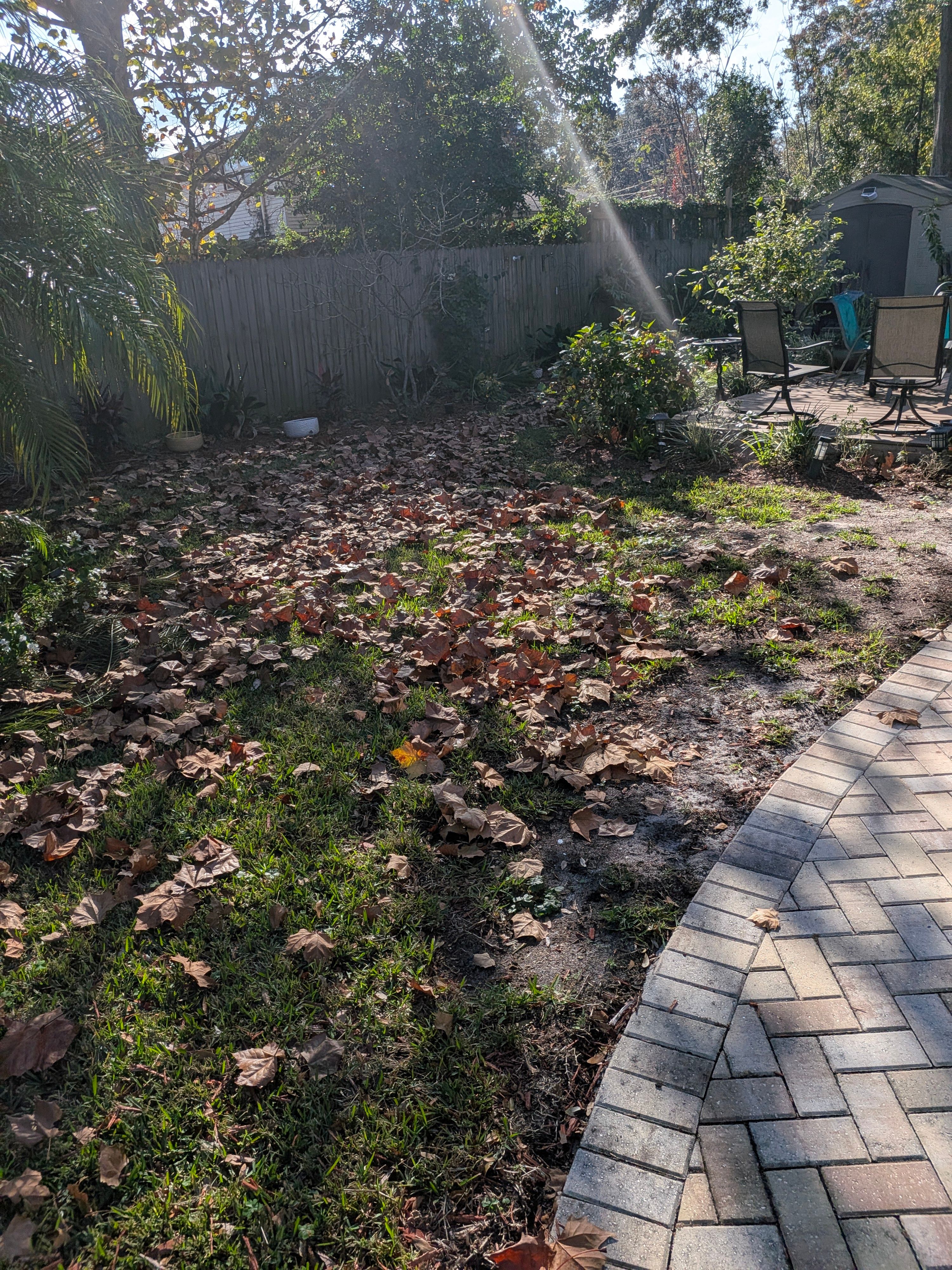 Large-Scale Leaf Removal & Property Cleanup — Jacksonville, FL (Arlington Area) by Harmoni Home Services