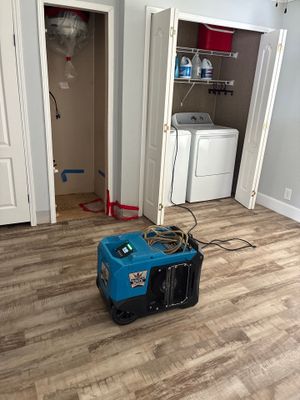Mold Remediation — Marco Island, FL