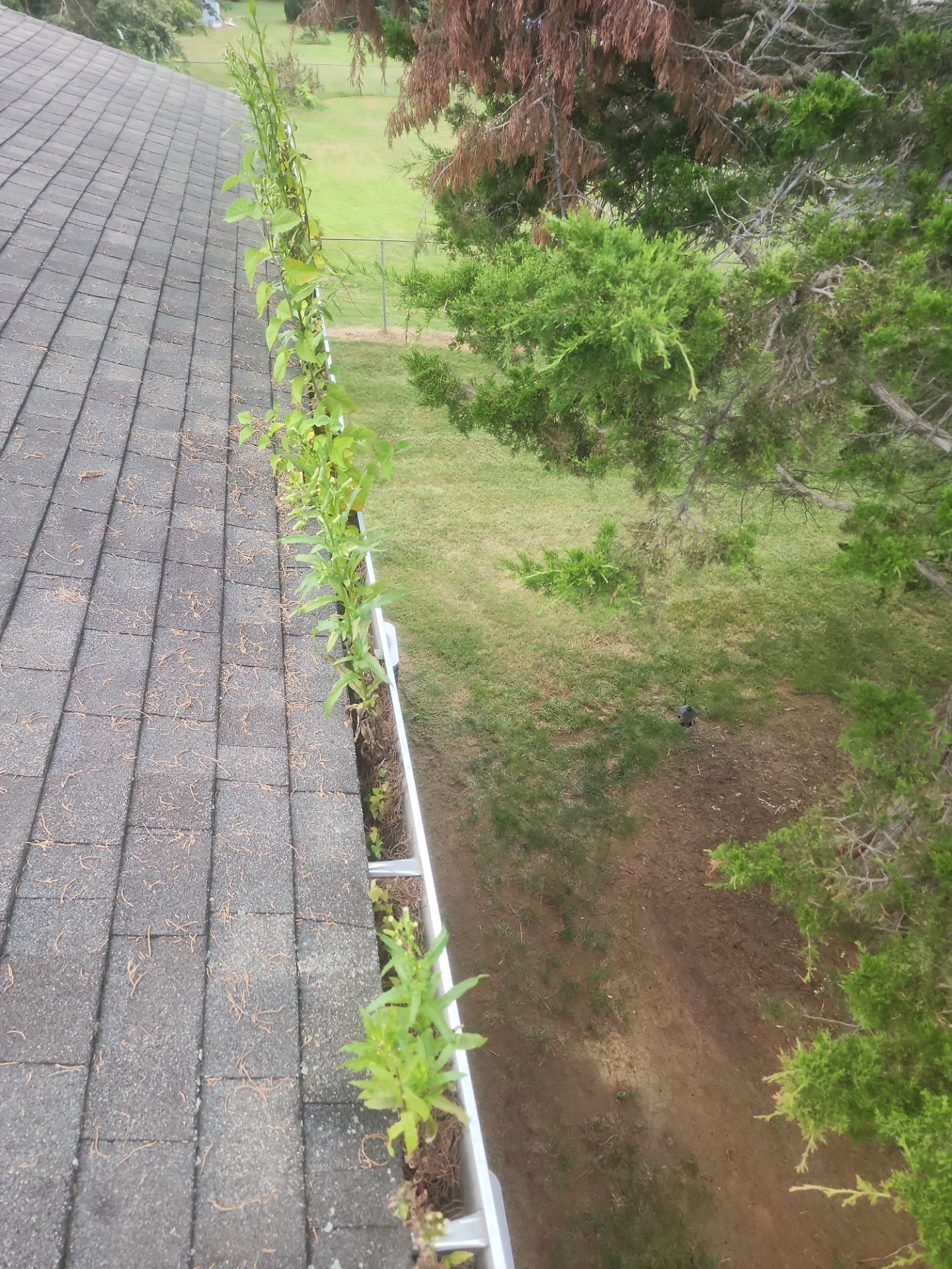 HOA gutter cleaning before photo.