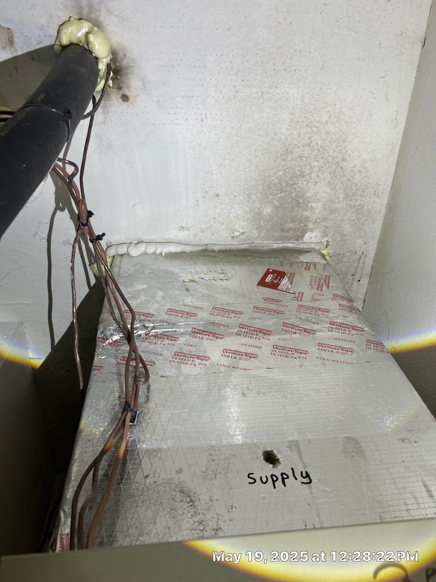 Sarasota Mold Damage by Ampm Restoration Services