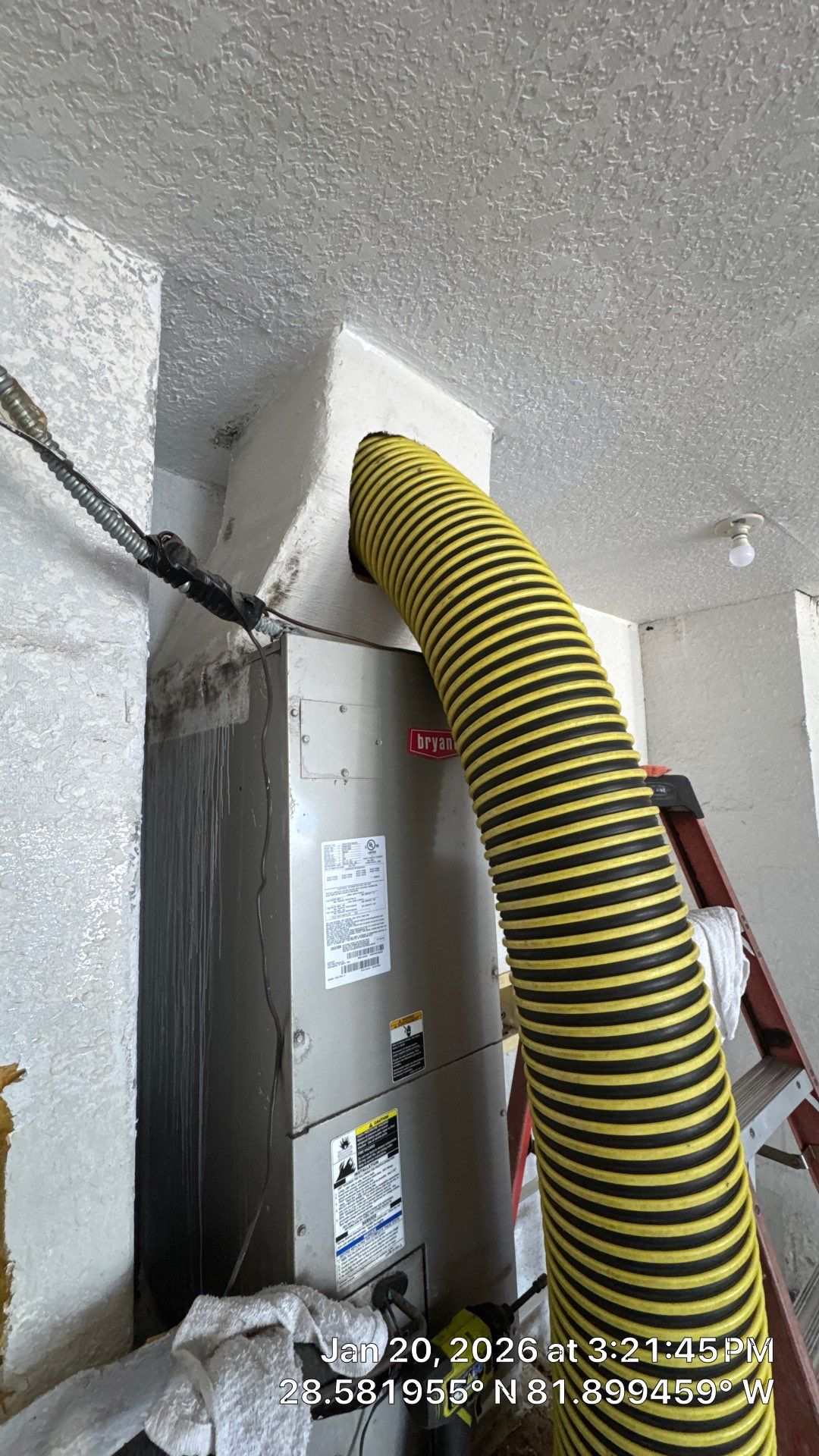 Air Duct and Dryer Vent Cleaning in Mascotte by Hygienic Air, Inc