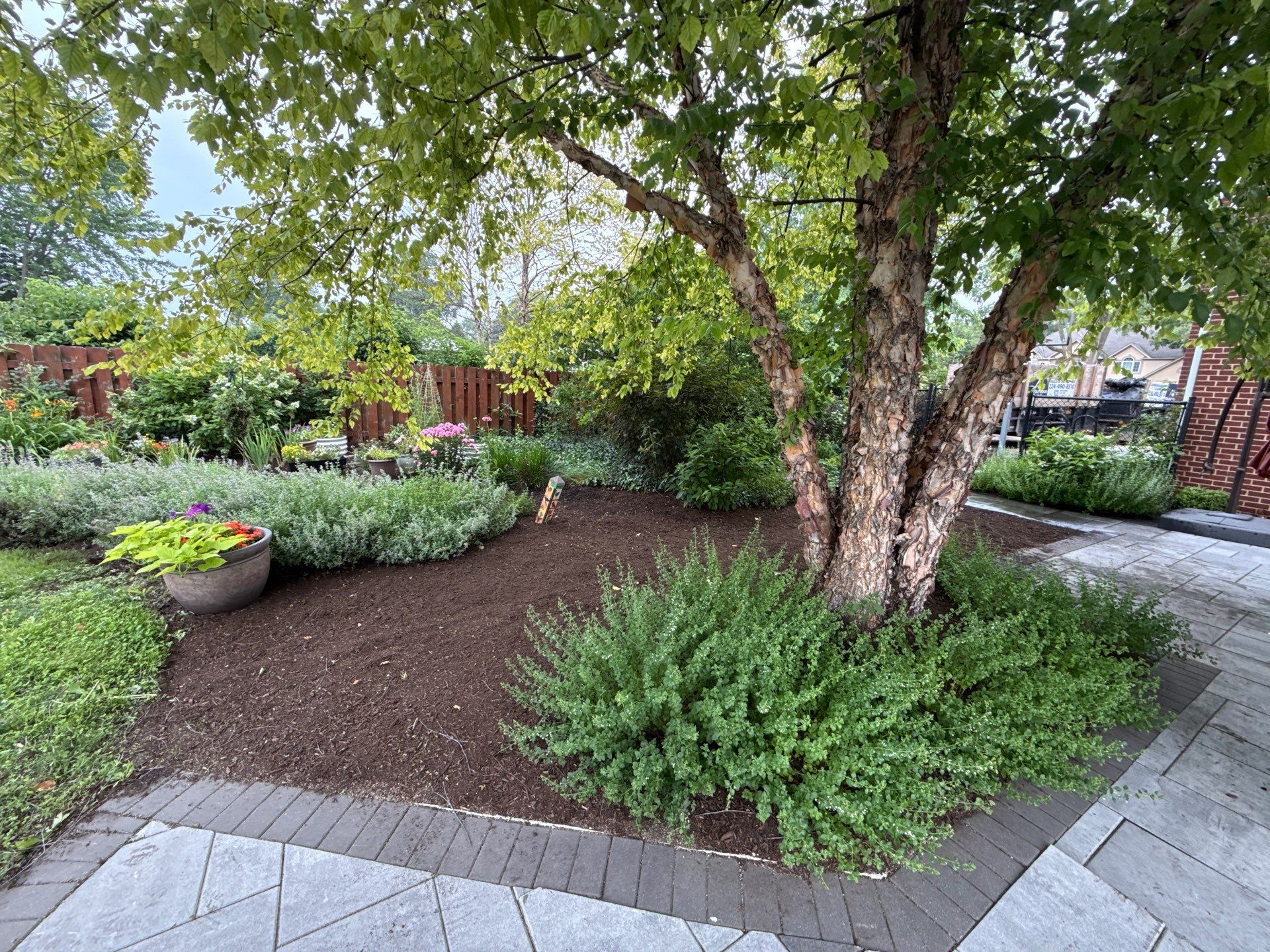Rob M. - Arlington Heights, IL by A&N 