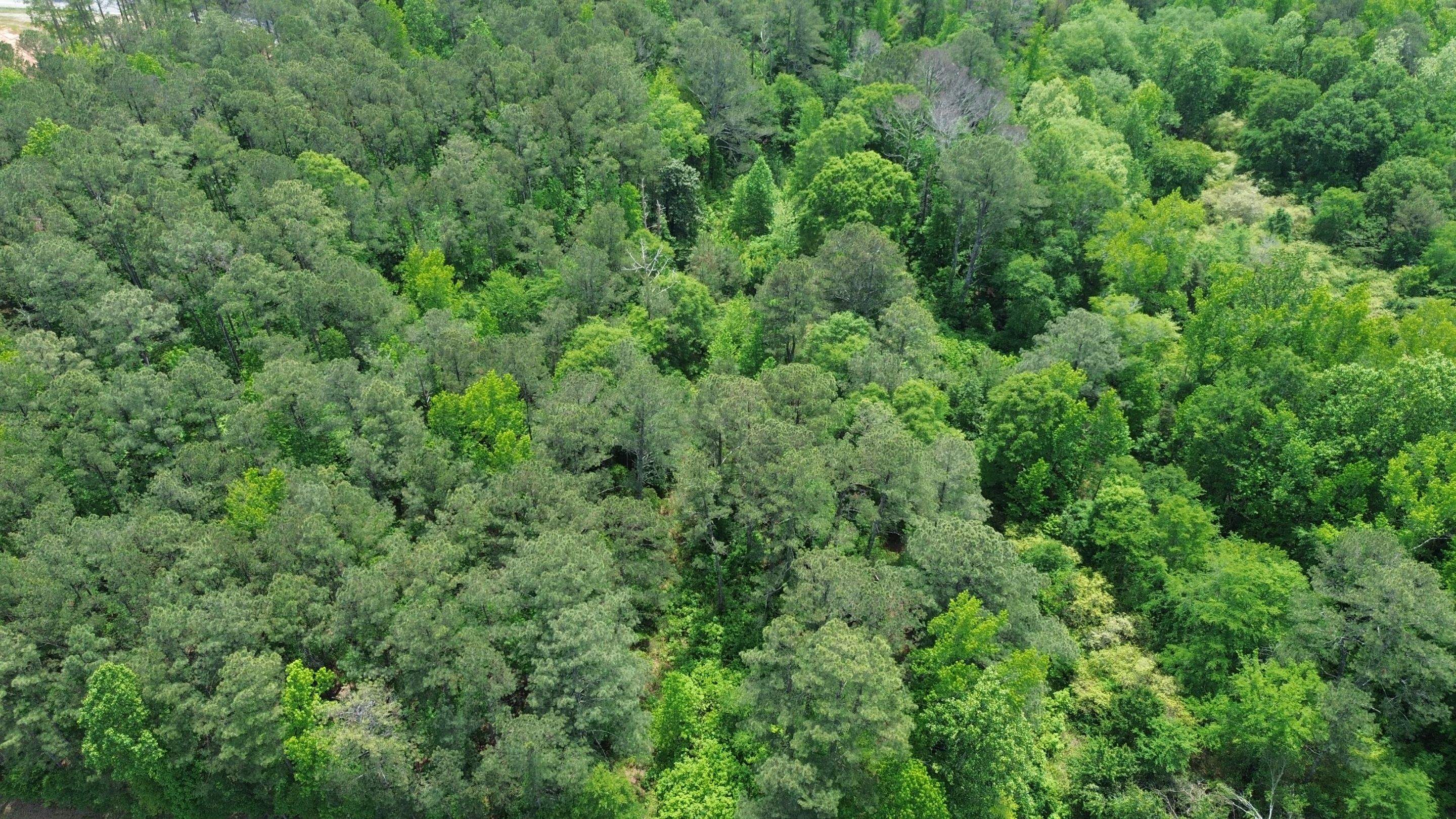 Drone shot by Swift Signings and Services LLC