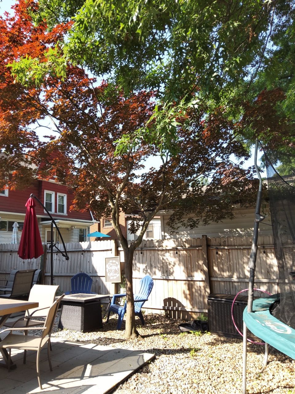 Tree Trimming using Tree Pruing by Mike Jones & Sons Tree Service LLC 