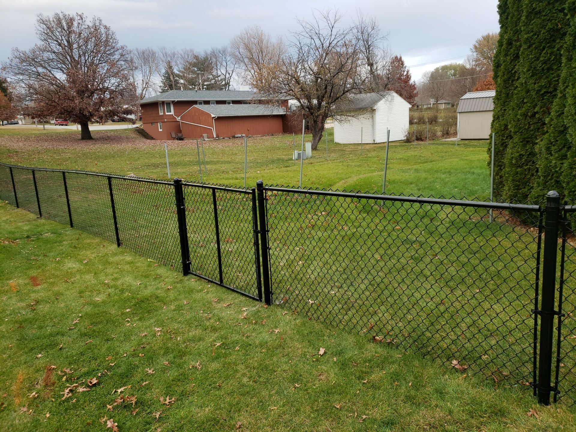 Residential Black Vinyl-Coated Chain Link Fence in Grundy Center by Perfect Picket Fence and Stain