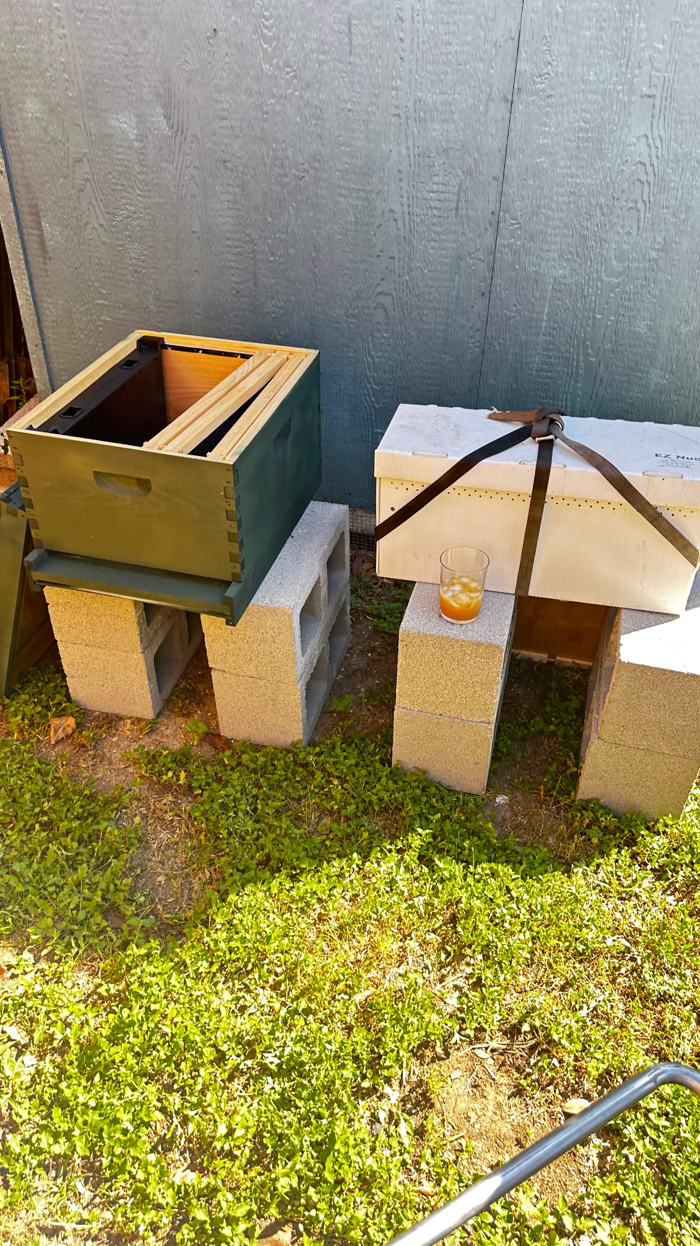 Project in Dallas by Rockwall Honey Bee Company