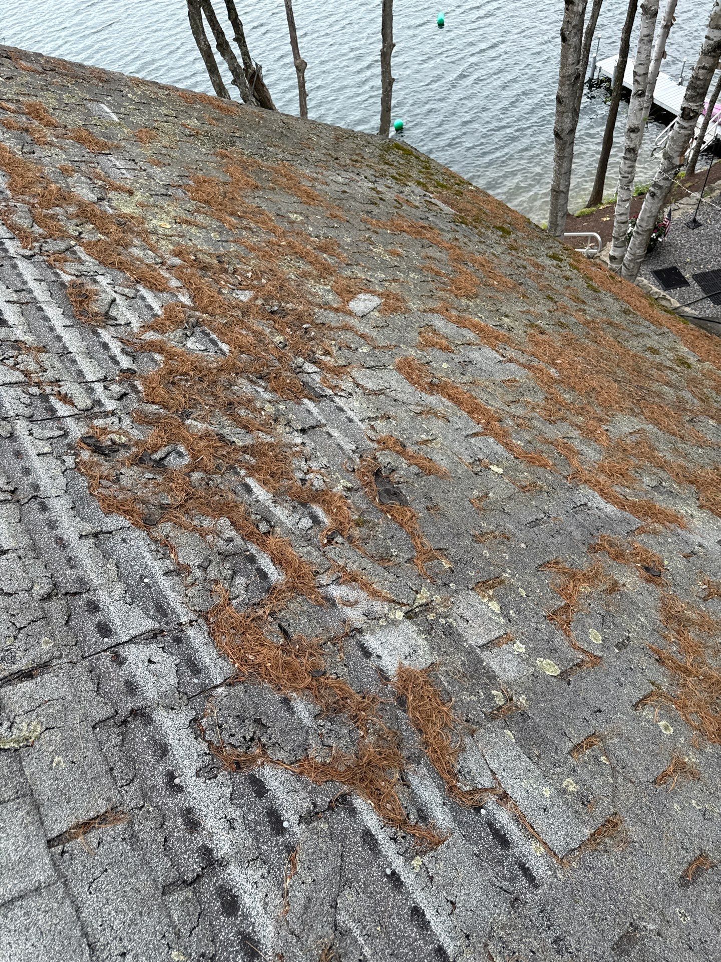 🏠 Fresh Owens Corning Roof in Waterboro, Maine! 🌲 by Tall pine roofing