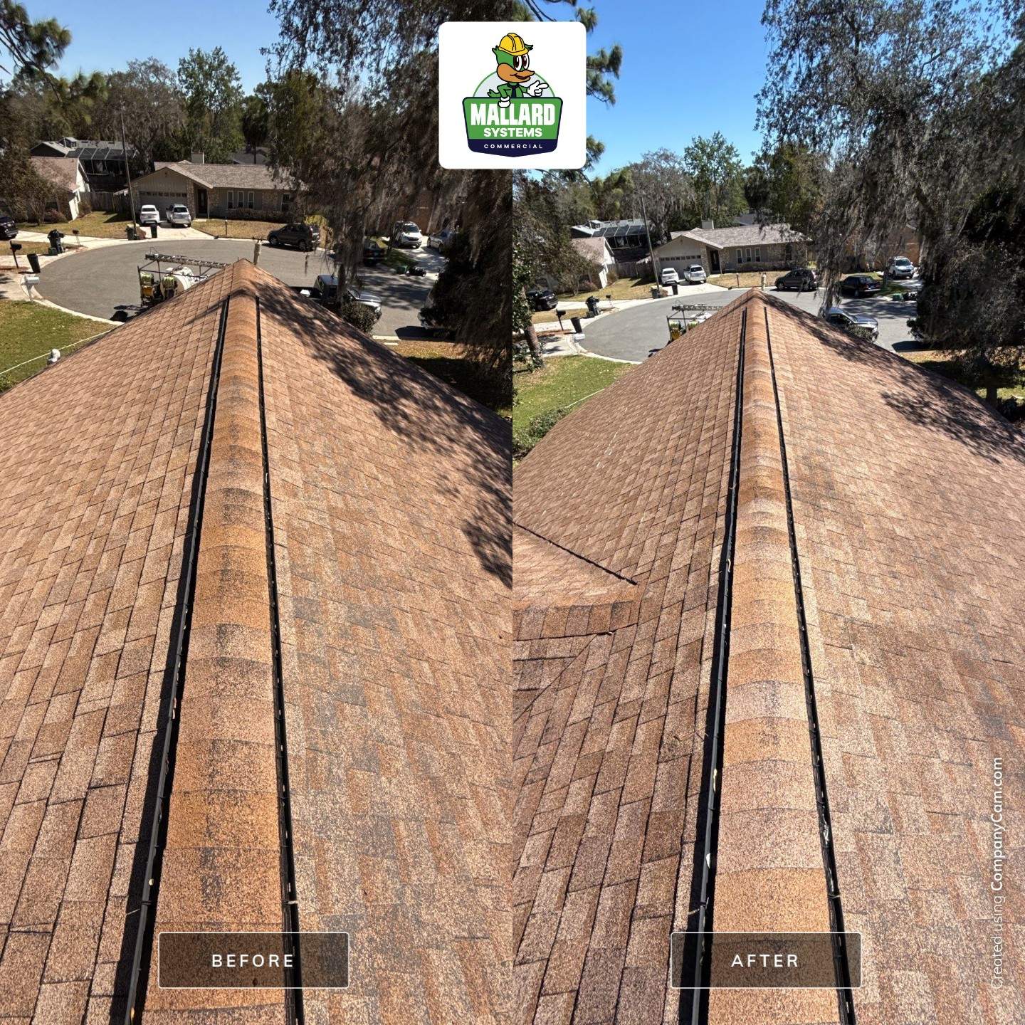 Shingle Roof Cleaning by Mallard Systems