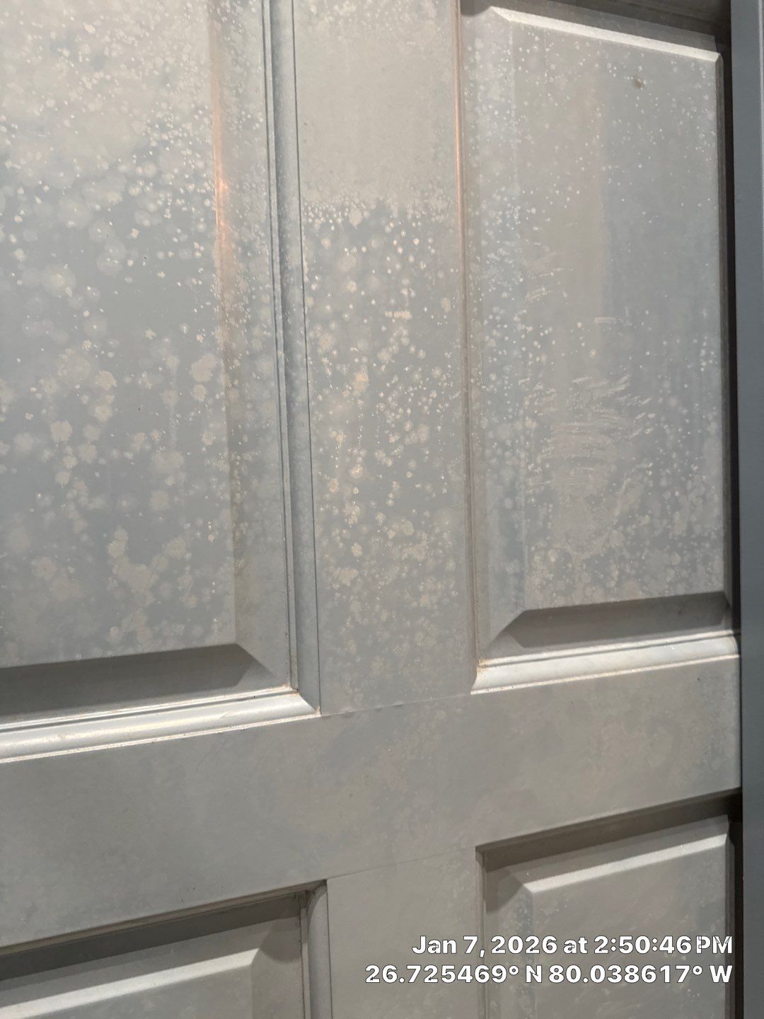 mold test by SuperClean 