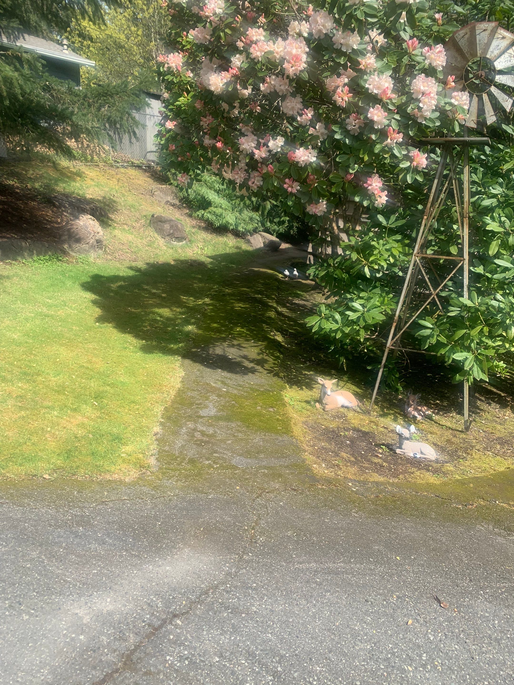 Modern Entry Fence by Jireh Asphalt & Concrete Inc 