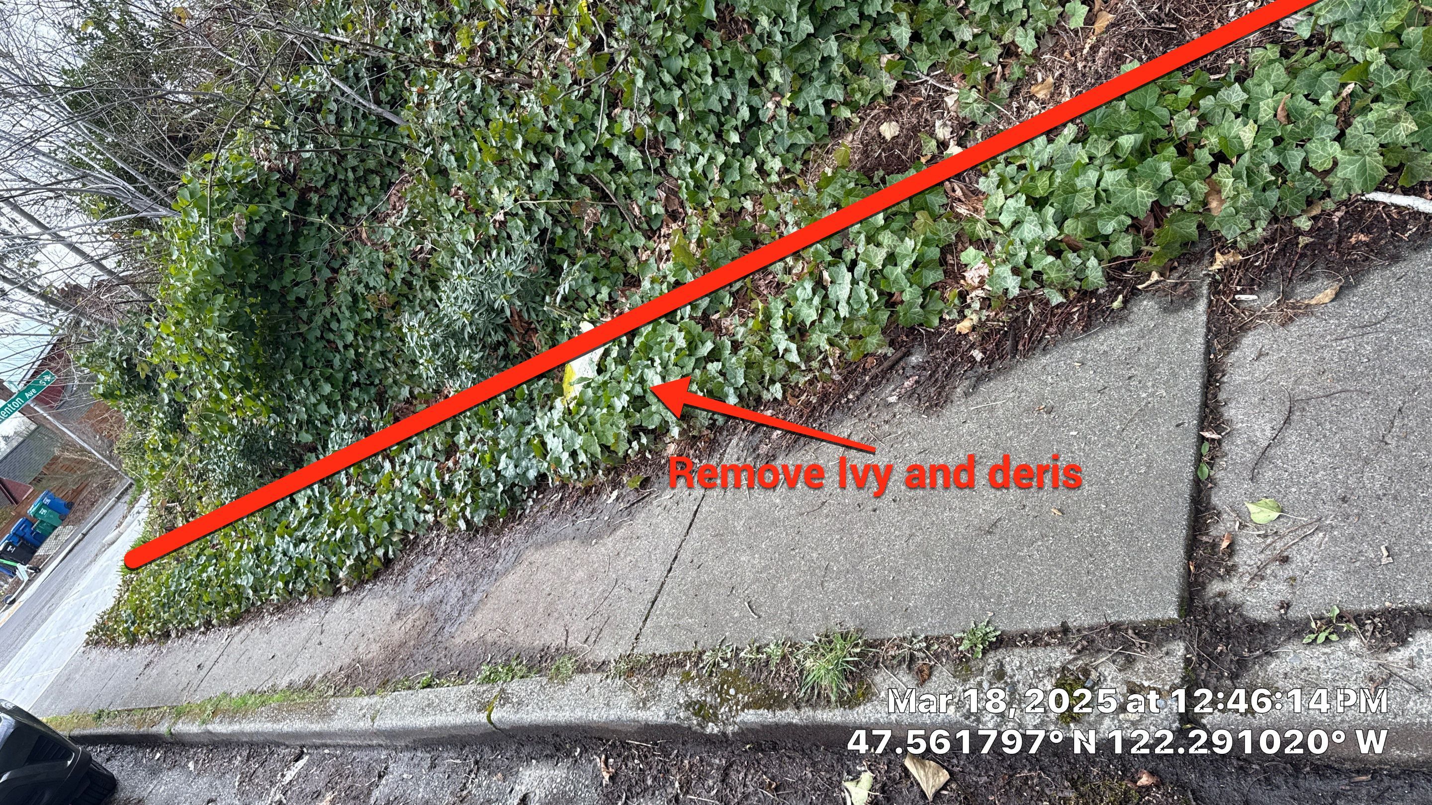 β
Seattle Tree Clearance & Invasive Species Removal by Sound Tree Care LLC