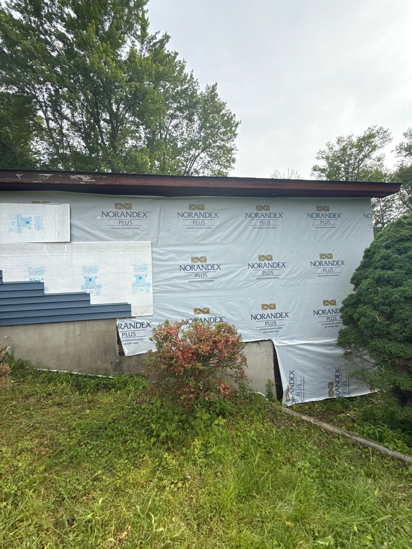 Prospect  by All site builders LLC