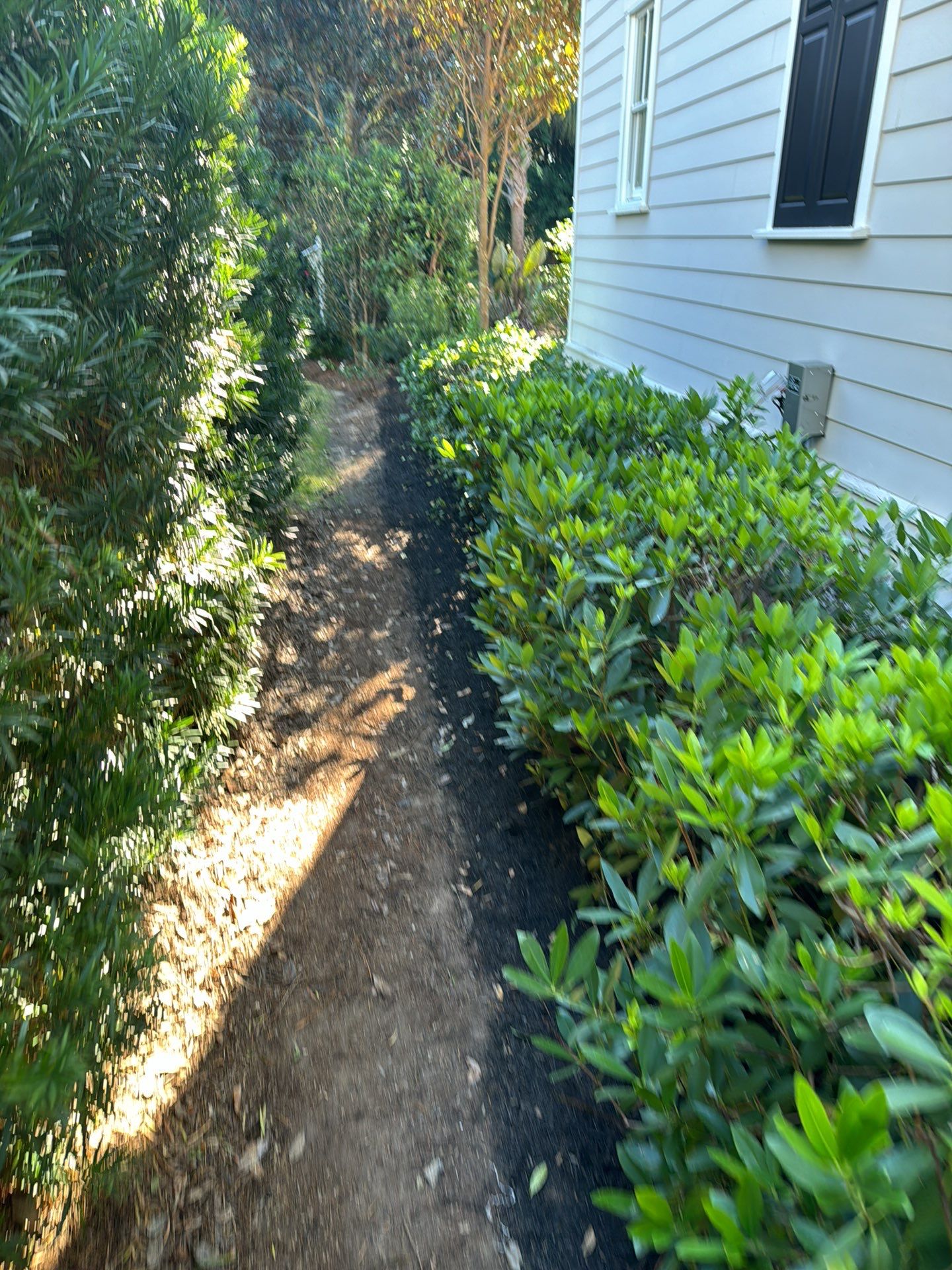 Herringbone Brick Paver Driveway and Custom Landscape Installation in Bluffton by Lowcountry Scapes, LLC