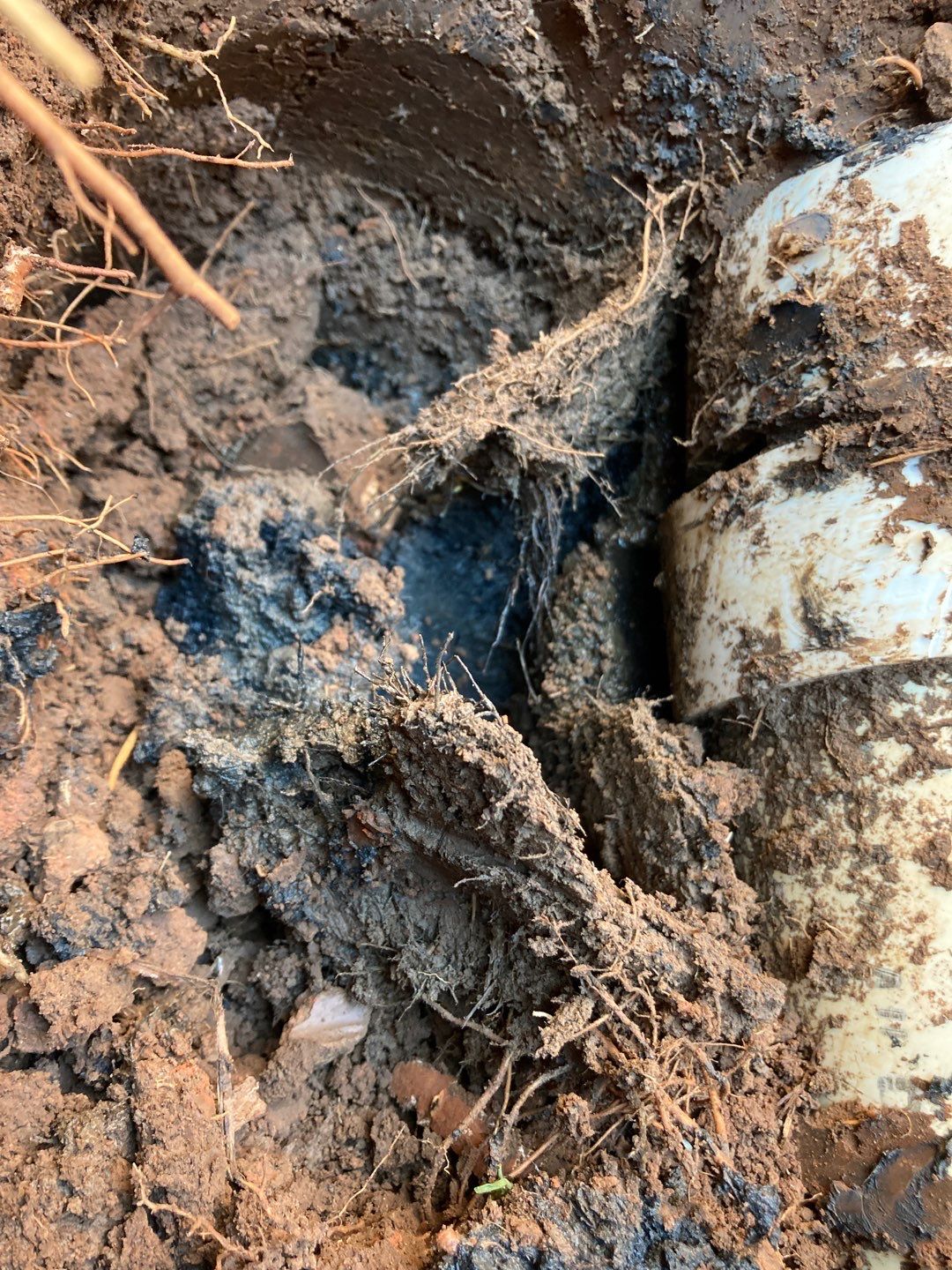 Project in Oklahoma City by PRO-ROOTER