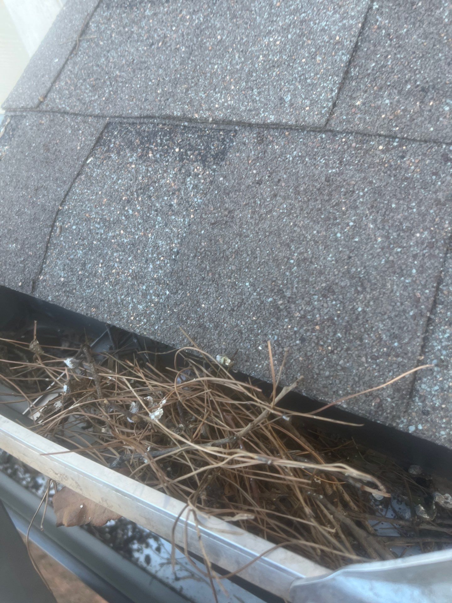 HOA gutter cleaning before