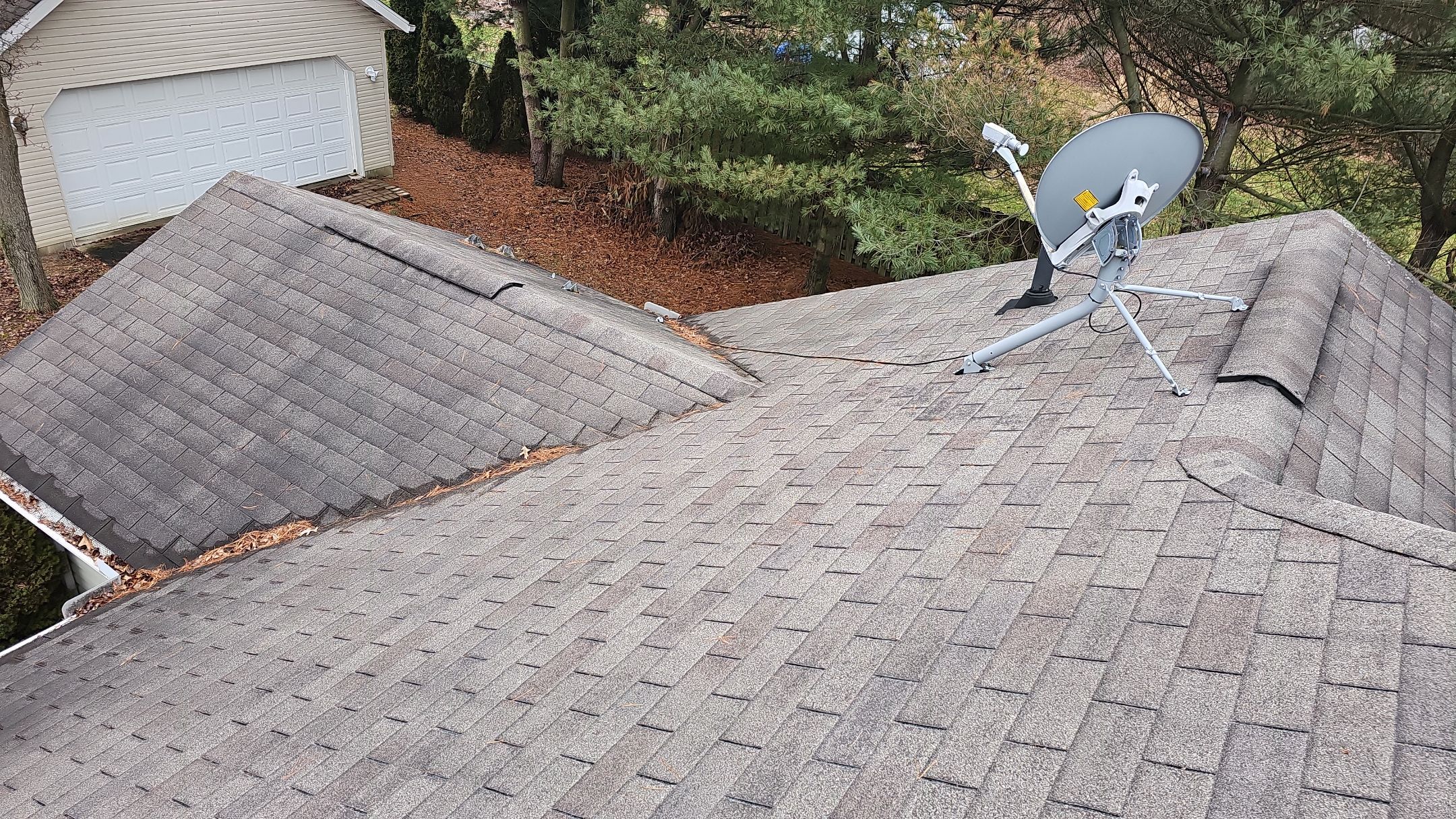 Alpha Rib, Color: Forest Green by Eagle Eye Roofing