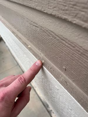 Project in Papillion