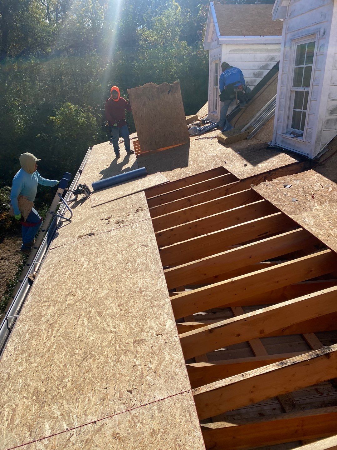Project in Creedmoor - Certainteed Landmark Silver Birch by Pro Performance Roofing
