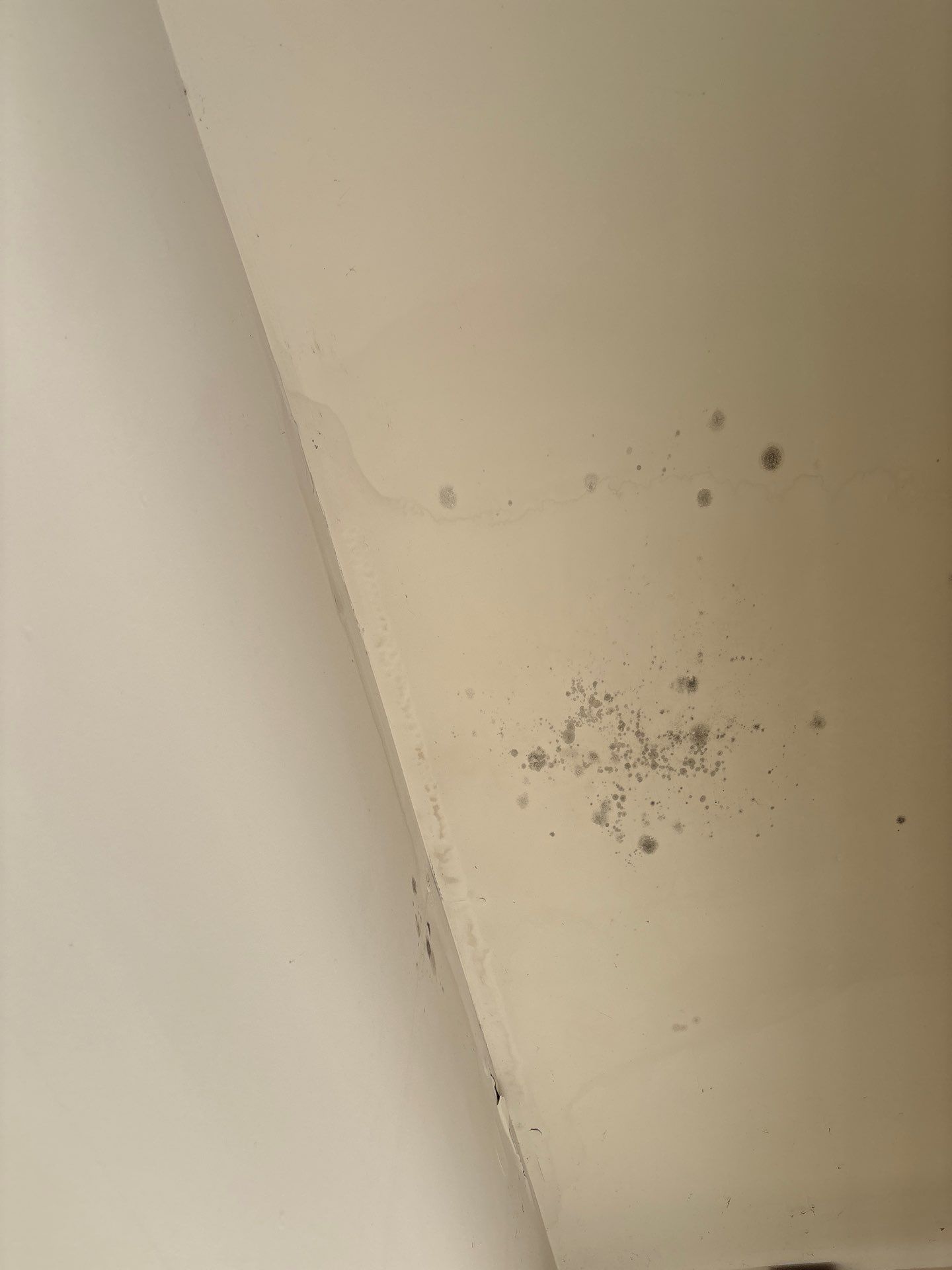 Roof Repair Rosenberg by Roof Repair Company