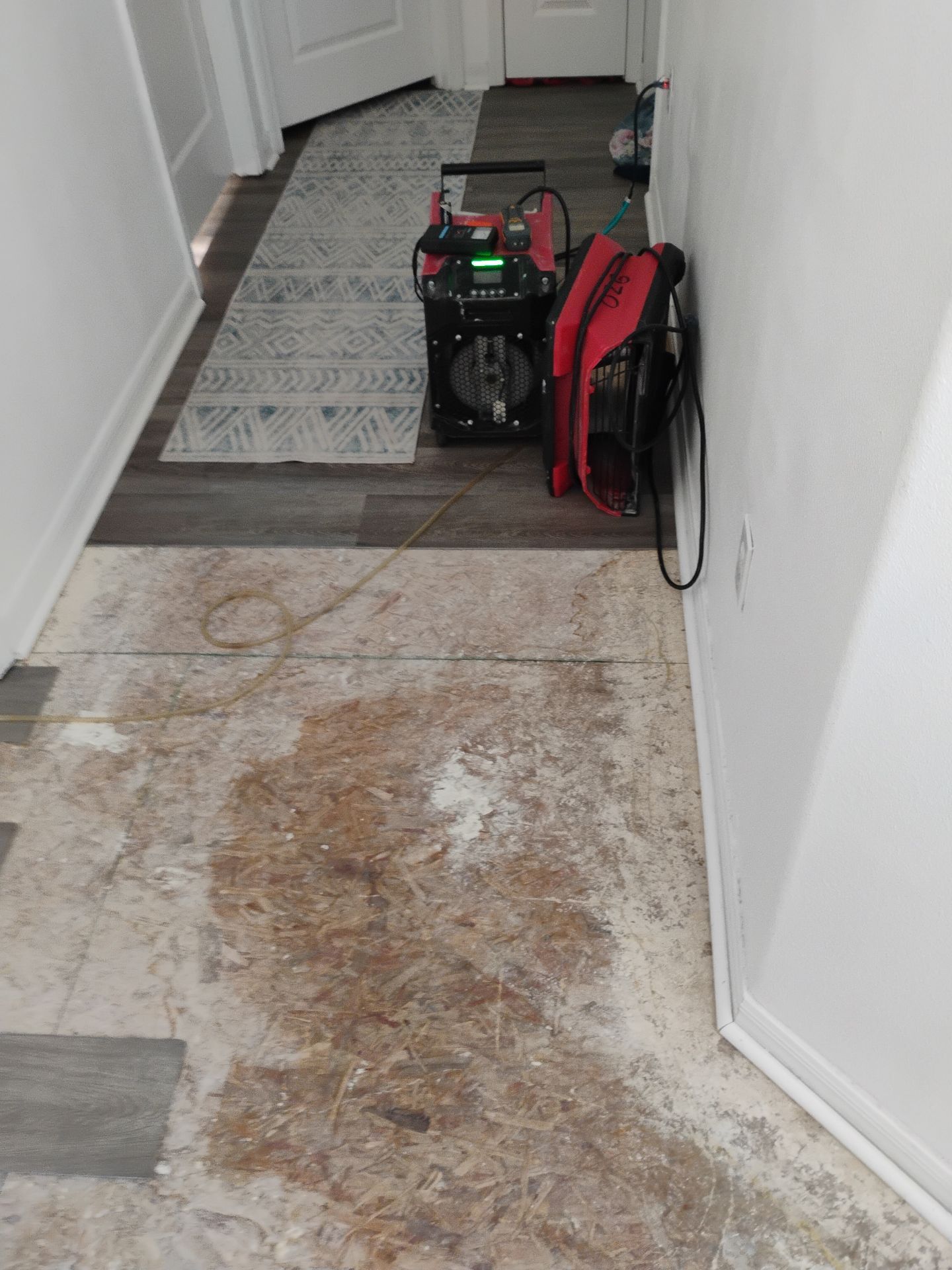 Project in Hudson by 1-800-Dry-Me-Out