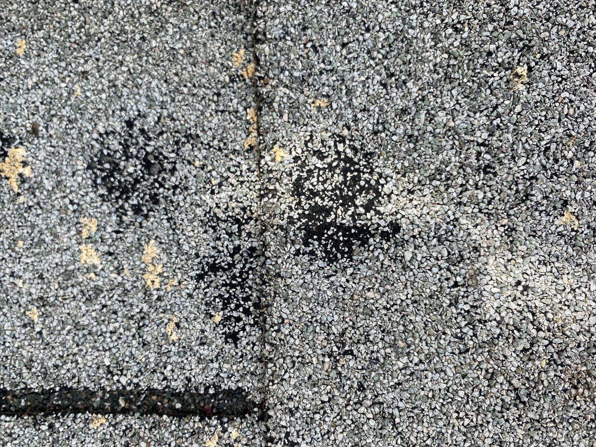 Roofing | Maynard by Mighty Dog Roofing of Greater Middlesex County